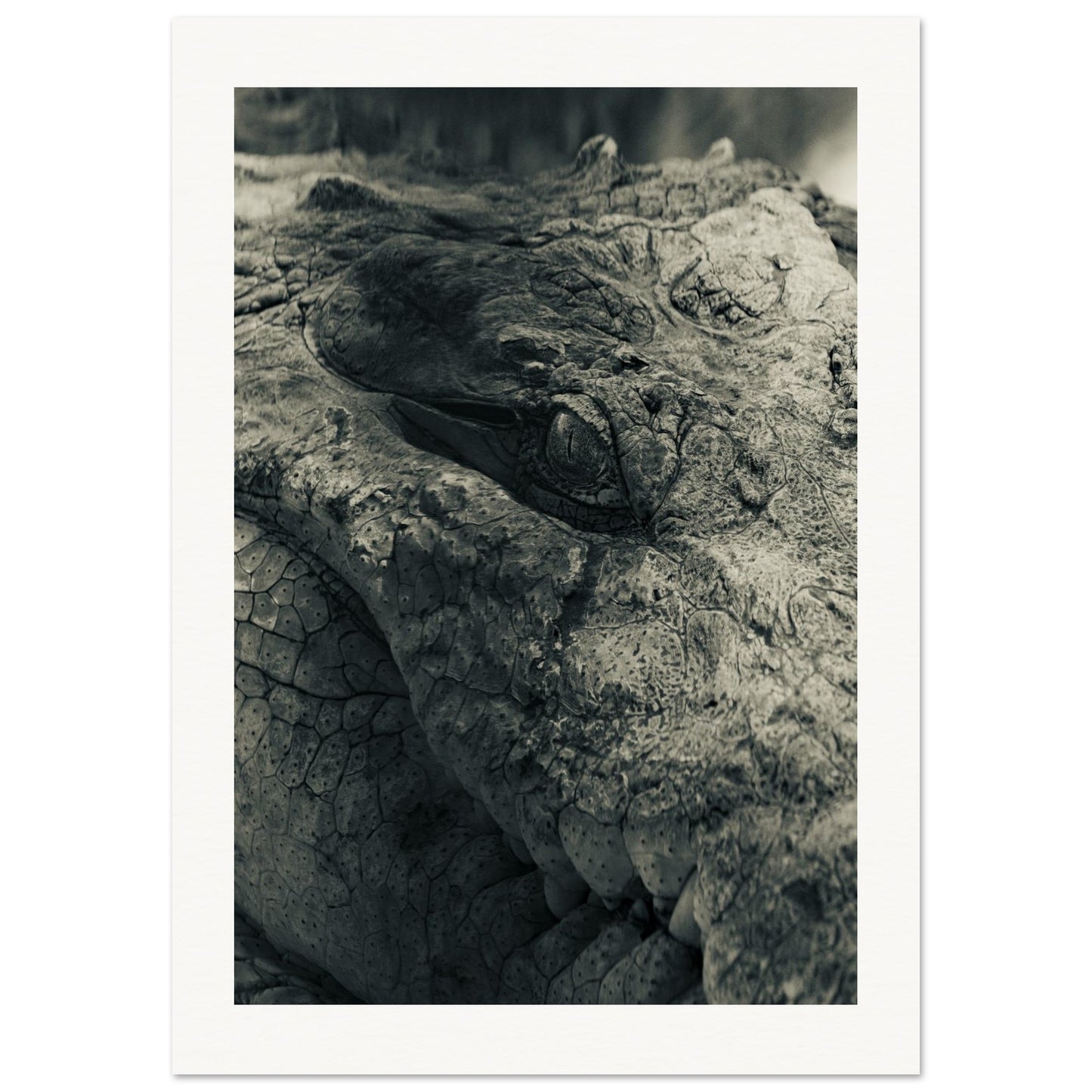 8add730c-f782-4be8-b94e-d064b1c528d4