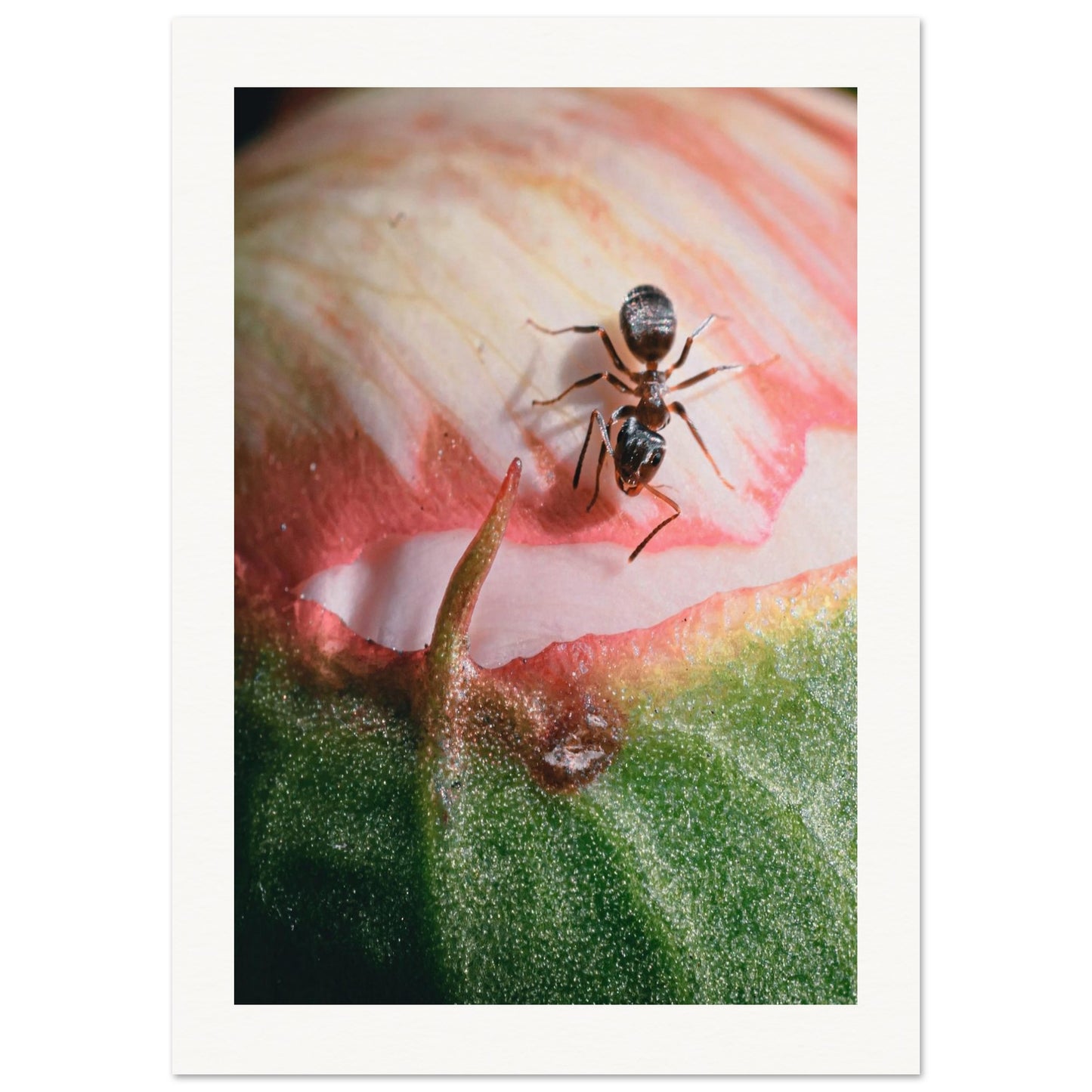 8aef2e16-c26f-4b39-a895-0fcb71976aae