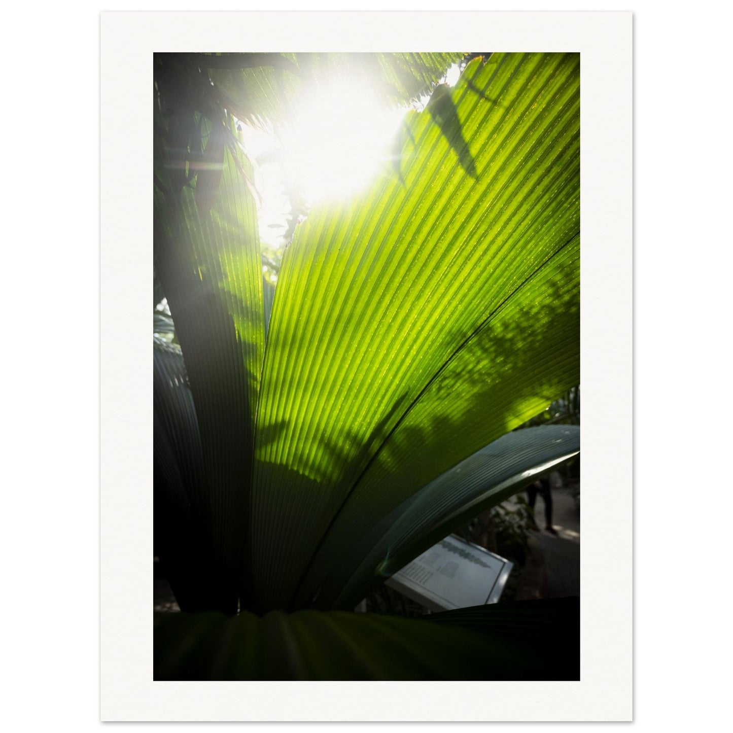 8b9ff3b5-65cf-443d-bfc4-4ac028cca4bb