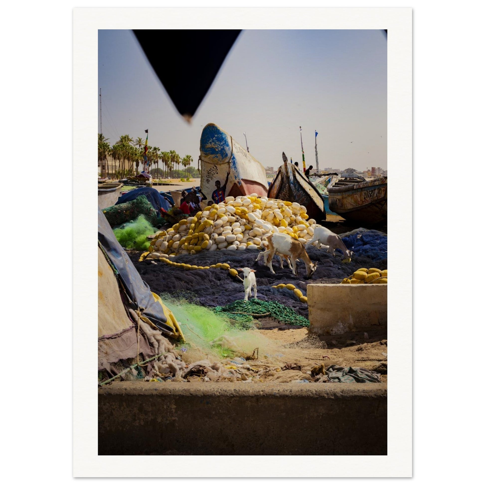 8c18bf8a-f007-4fb7-a26c-70a7a41c638e