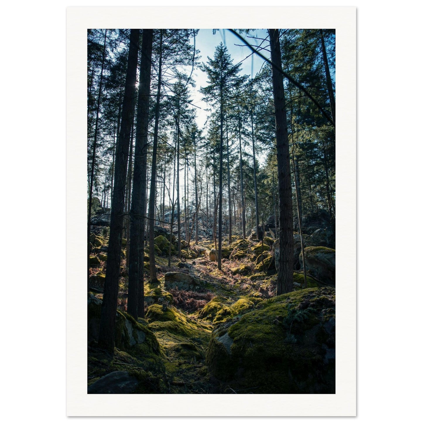 8e56cbef-1de6-498f-932a-38a6a1d87b4d