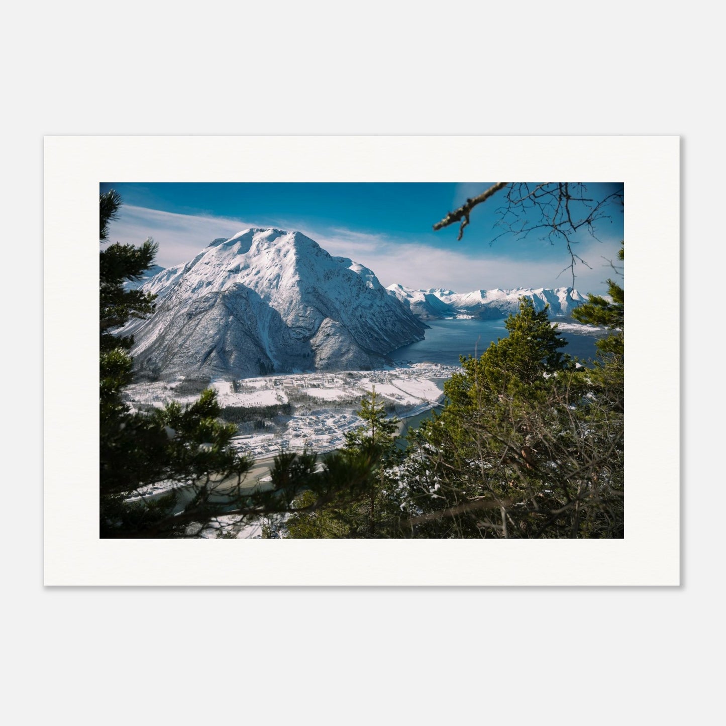 8f379c00-1084-4f75-8a11-6c4d63478f03