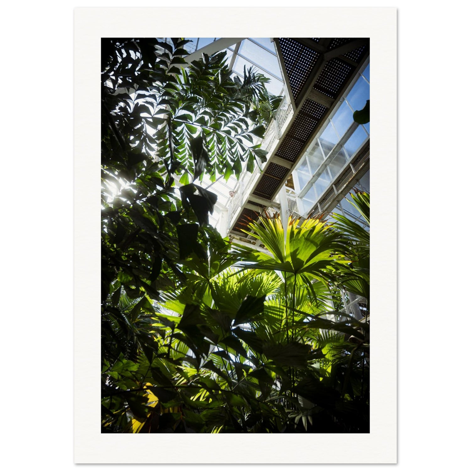 902e1807-53ba-41bc-bec2-0ad8dfd2ce1b