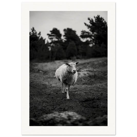 90346c10-d695-4c21-b62b-aa9c69c07eae