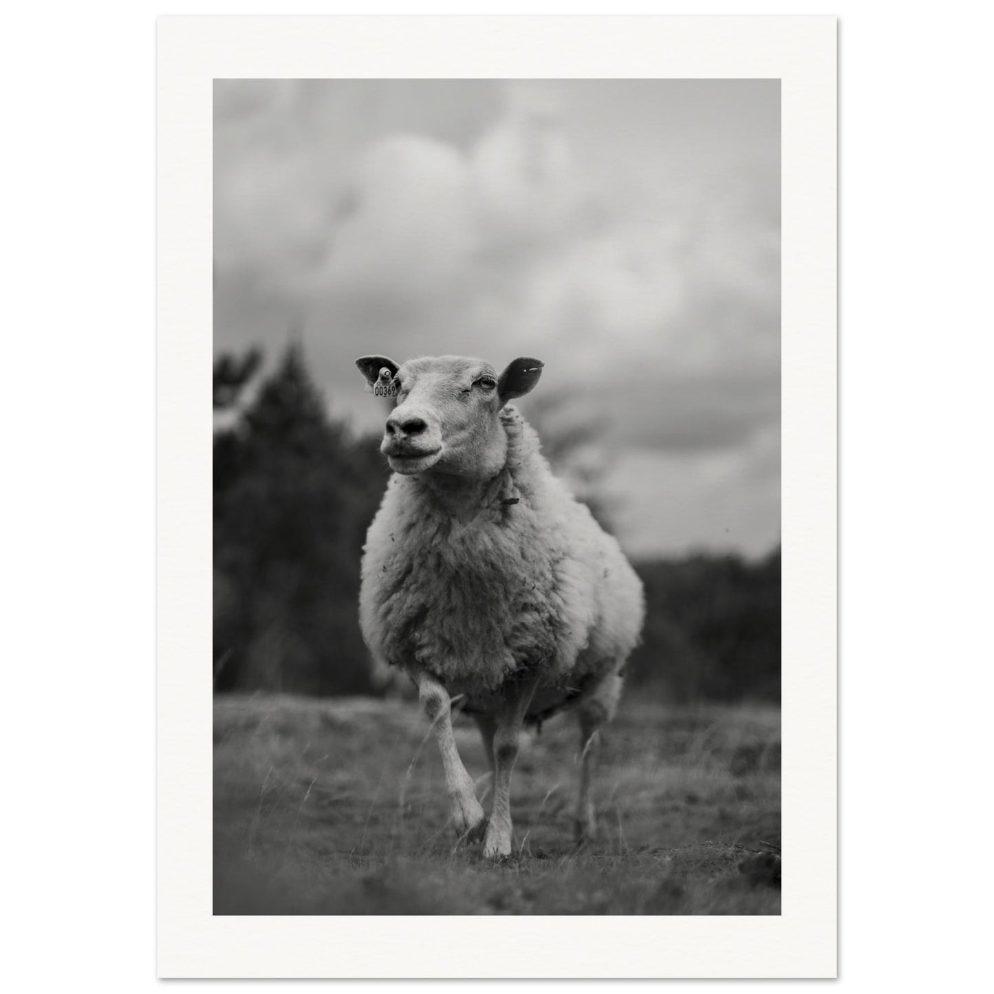 90ada0ff-f5c7-462f-b394-2c46e3ecf2d1