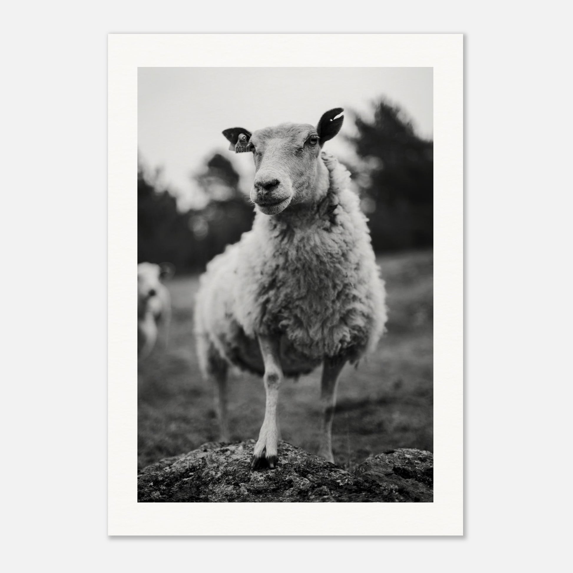 914c5678-4858-4058-880f-ea44868ddfad