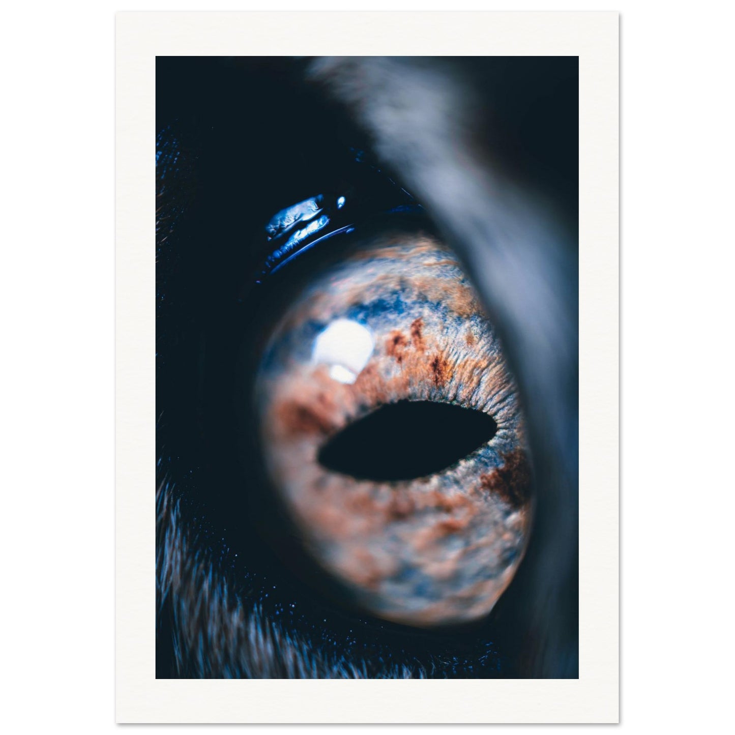 91e3eab2-f21c-4c62-acd4-ec67217814dd