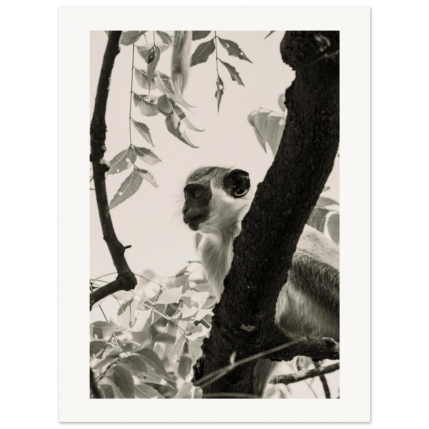 925e273c-432d-4b15-931c-e11fe6e32f1a