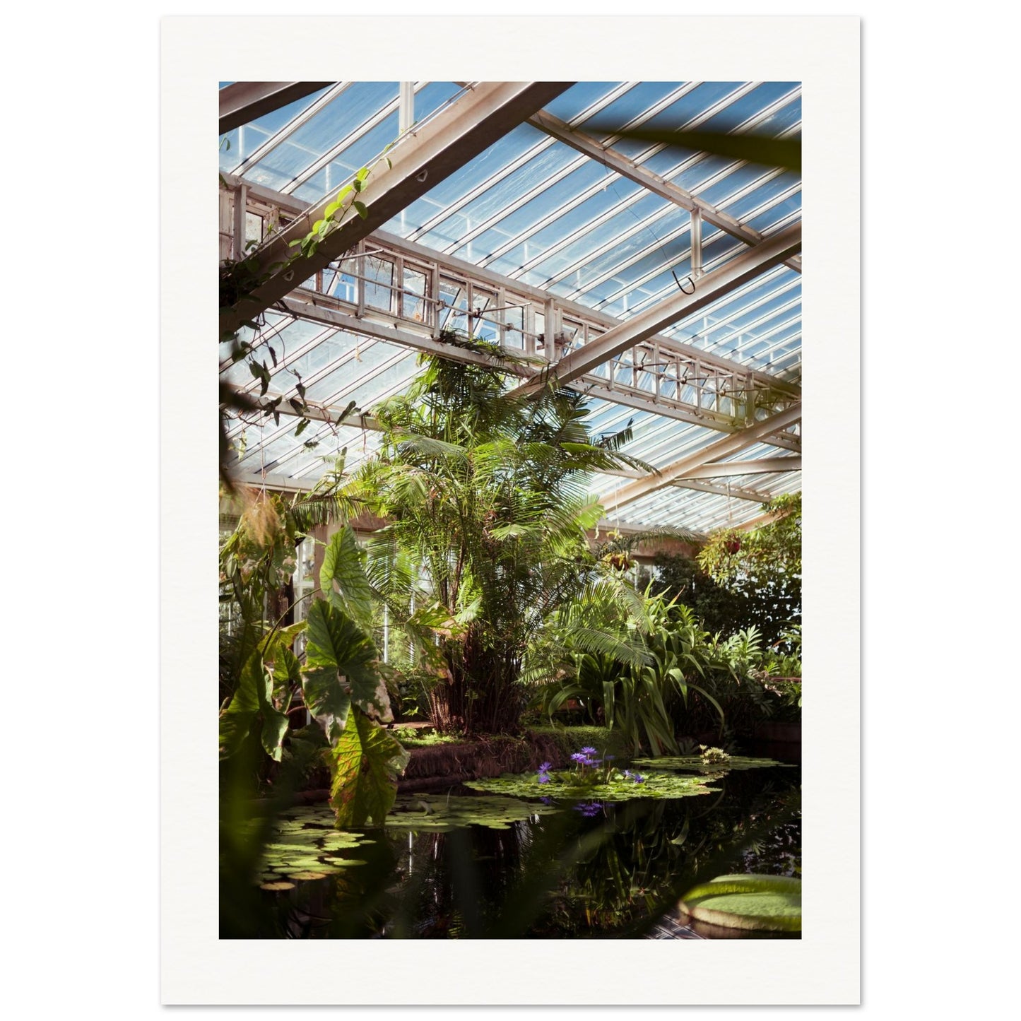 92d2aeac-365f-49c2-bd55-e6b7804d569b