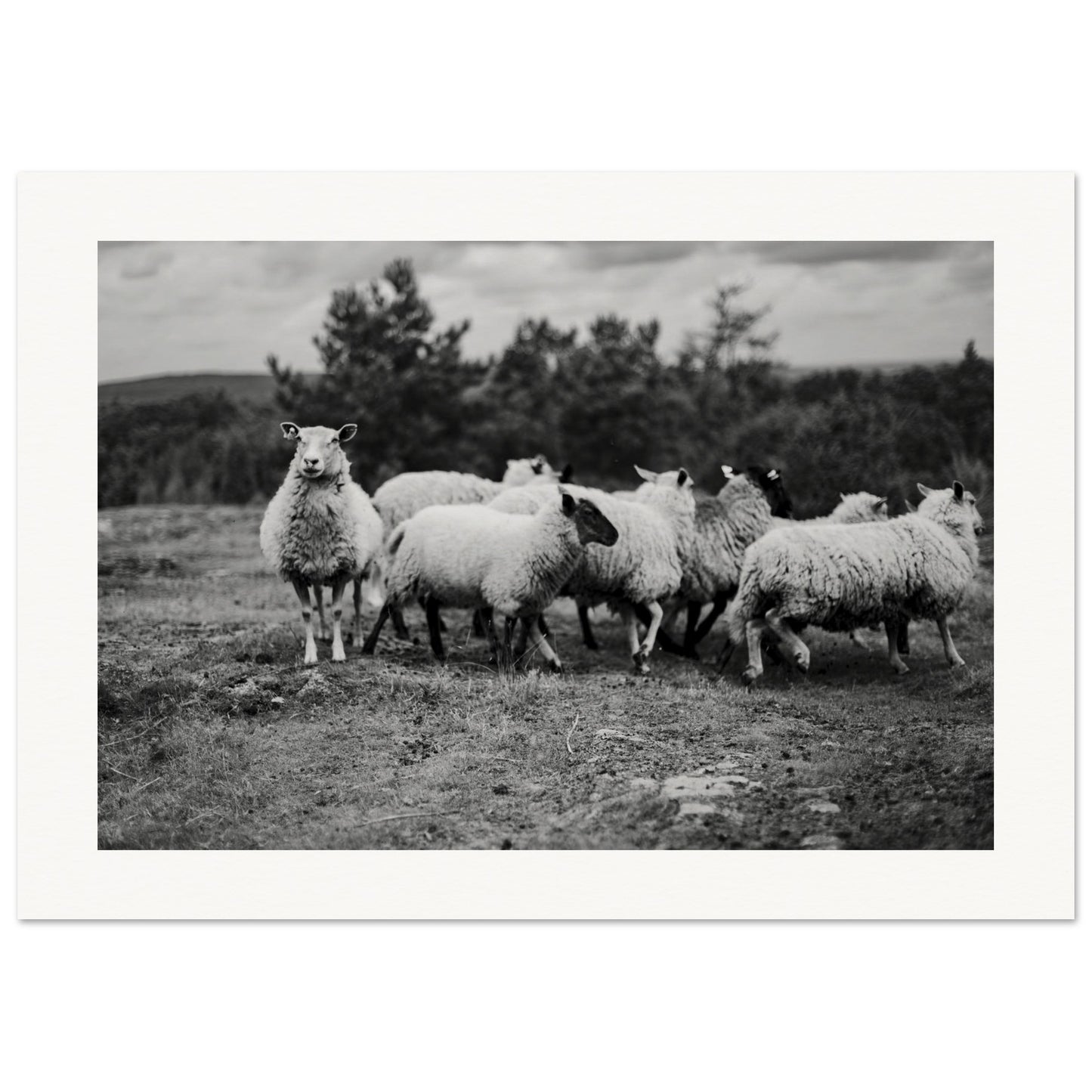 92de1ded-3386-49ed-b836-628c941126fd