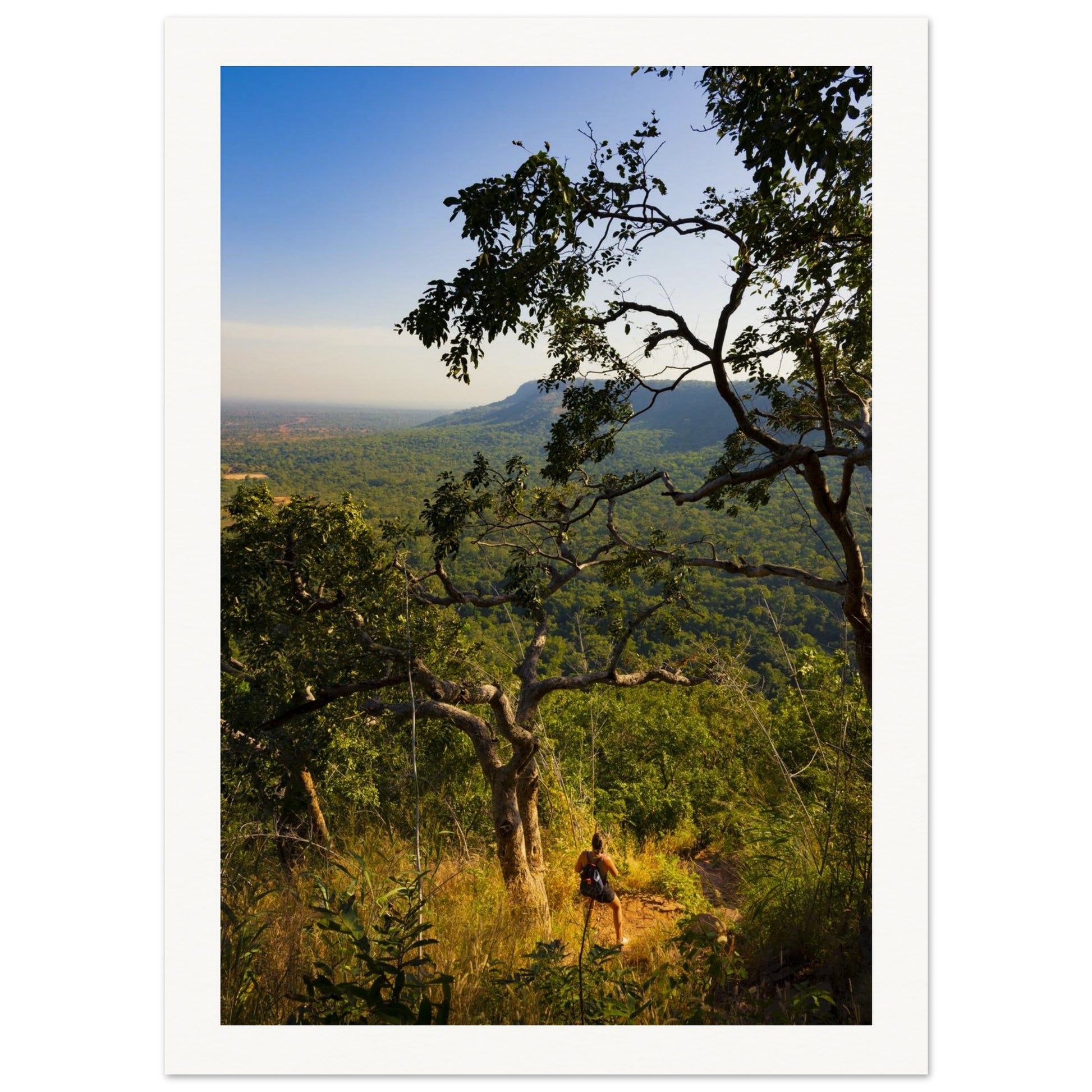 93ca1a83-e33a-474d-89c1-b3b818ed7841