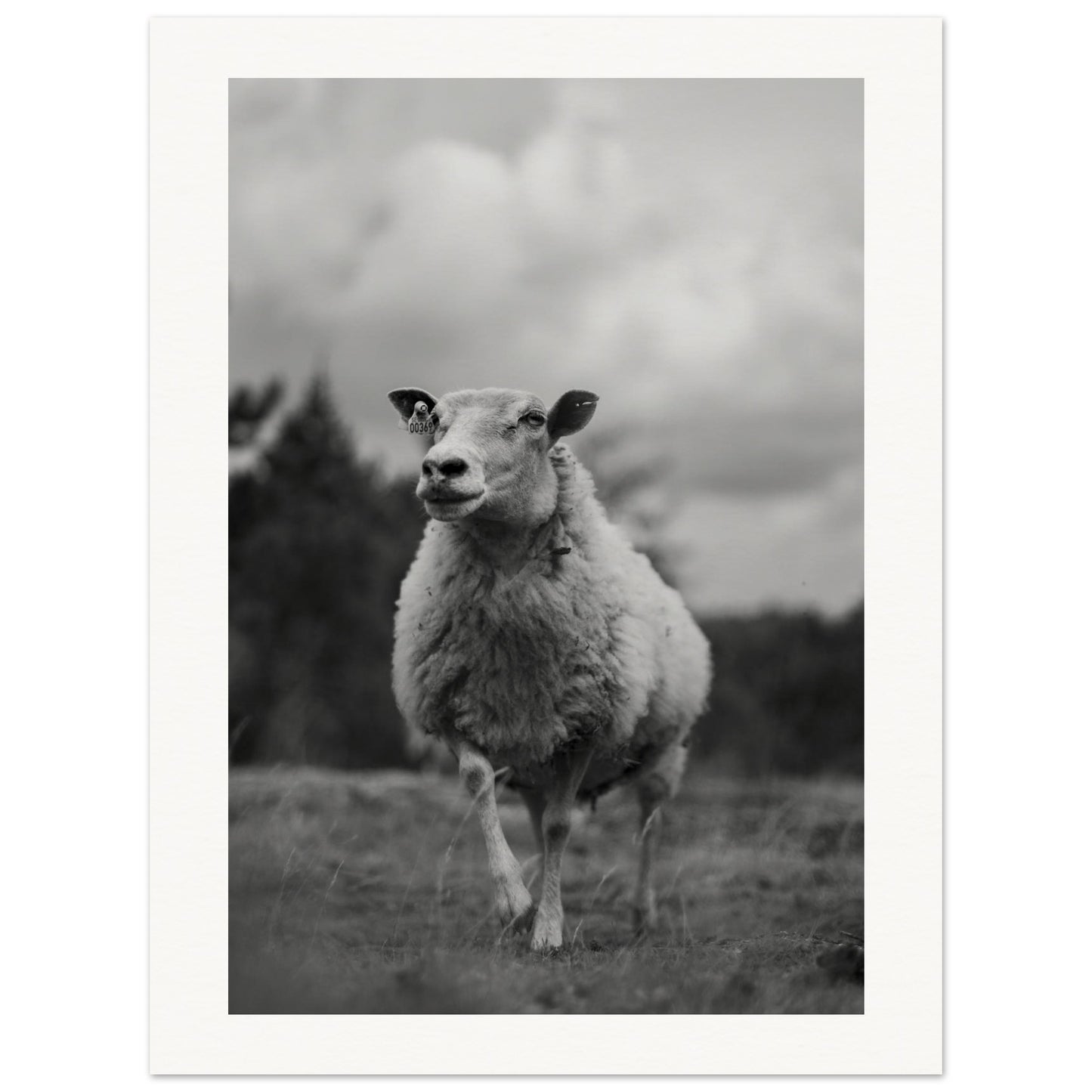 94521944-6f50-4cc2-a522-fafc83b9d81e