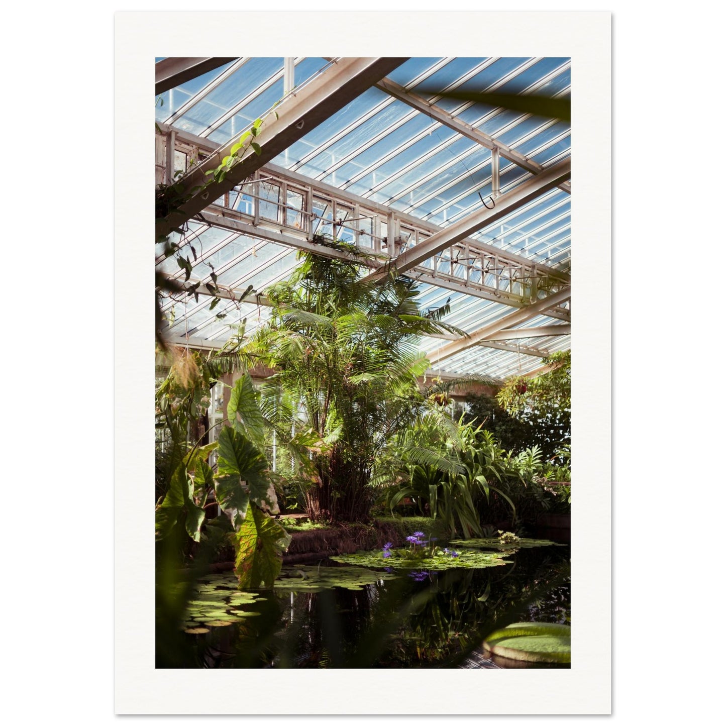 94a223cd-b20d-459b-bc0b-fbb5b11c338c