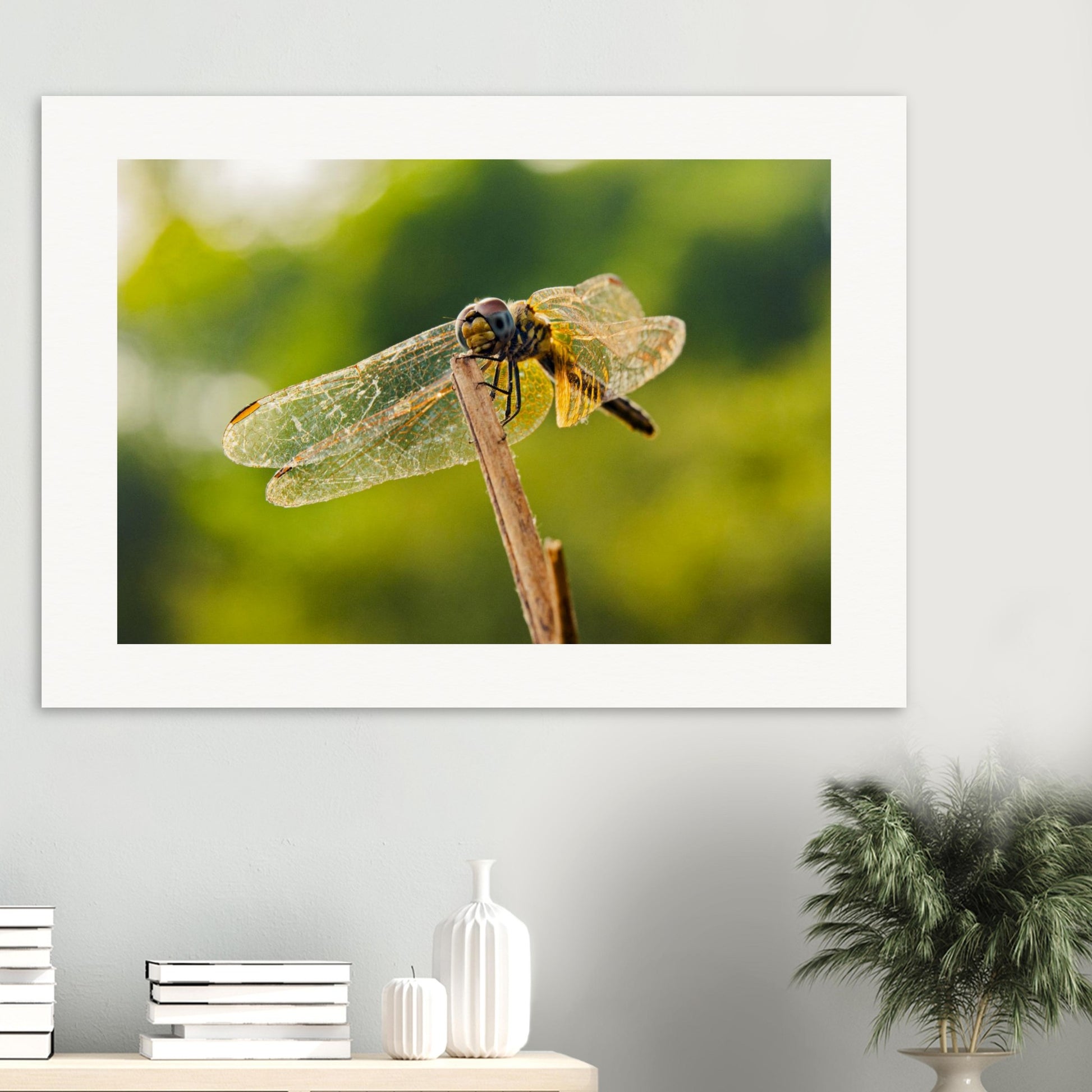 951a0601-4454-4ef6-8bdf-53408d0ac5bd