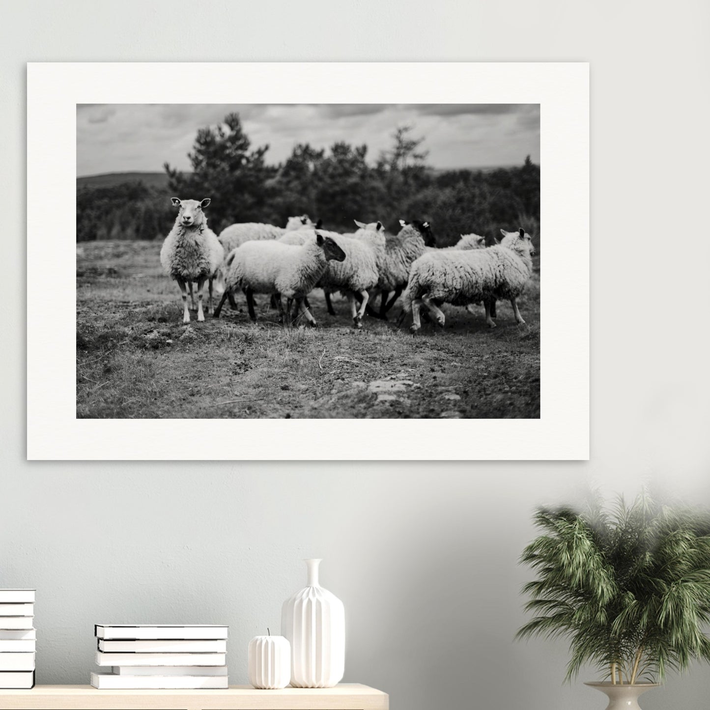 95ac7149-a13e-4aec-8676-ec70f529c20f