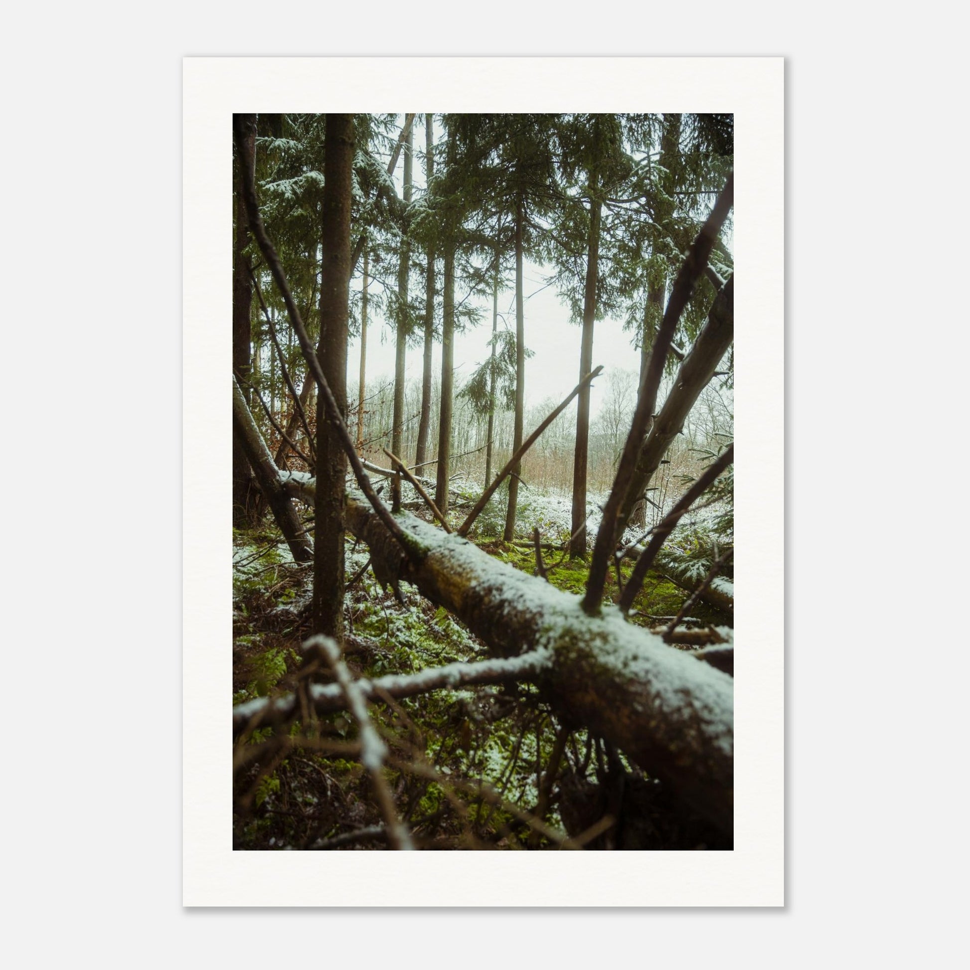 97b535fa-c75f-46e1-a2d6-a072659b0c53