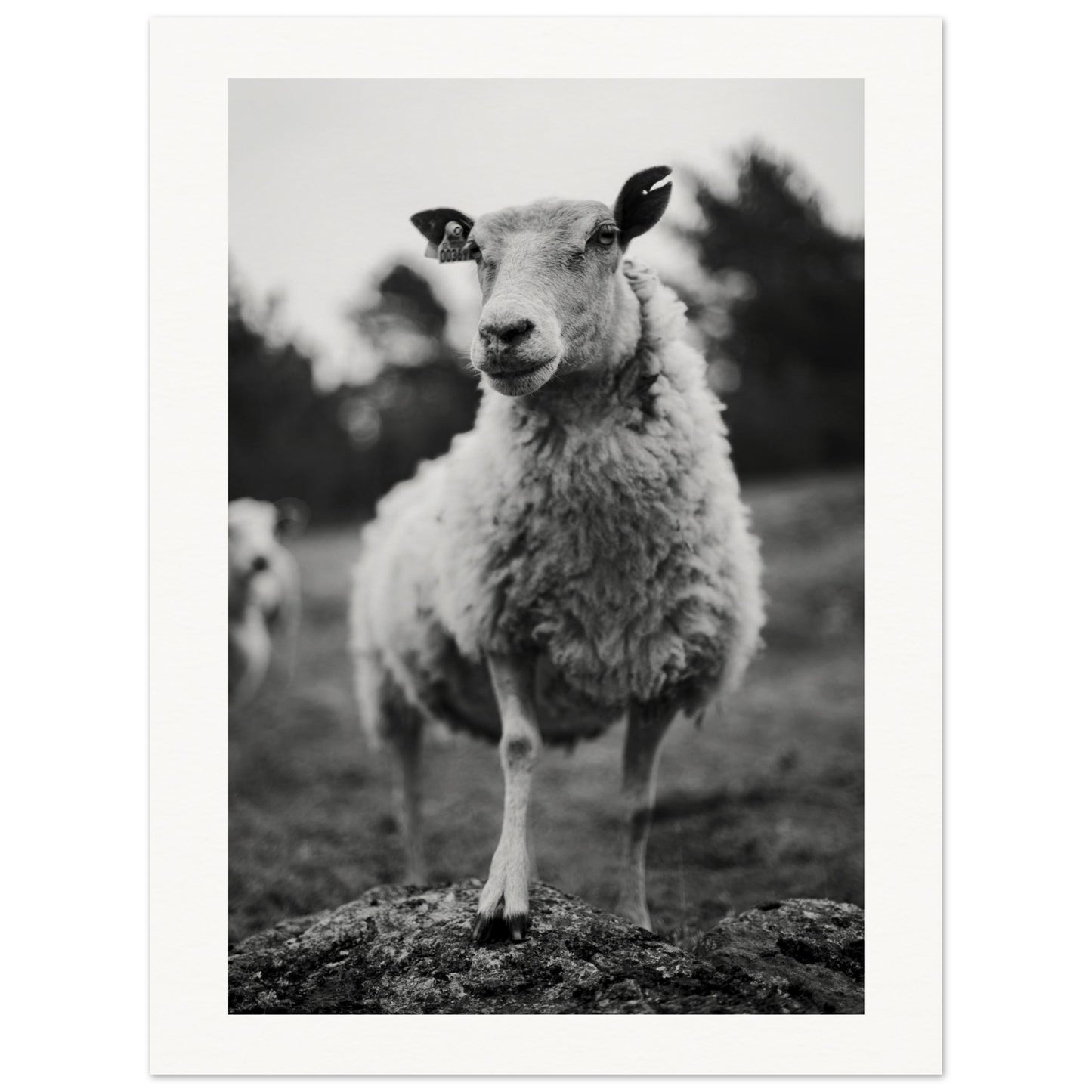 97ddae96-cd2b-4824-9da4-8cc6e60cd9ef