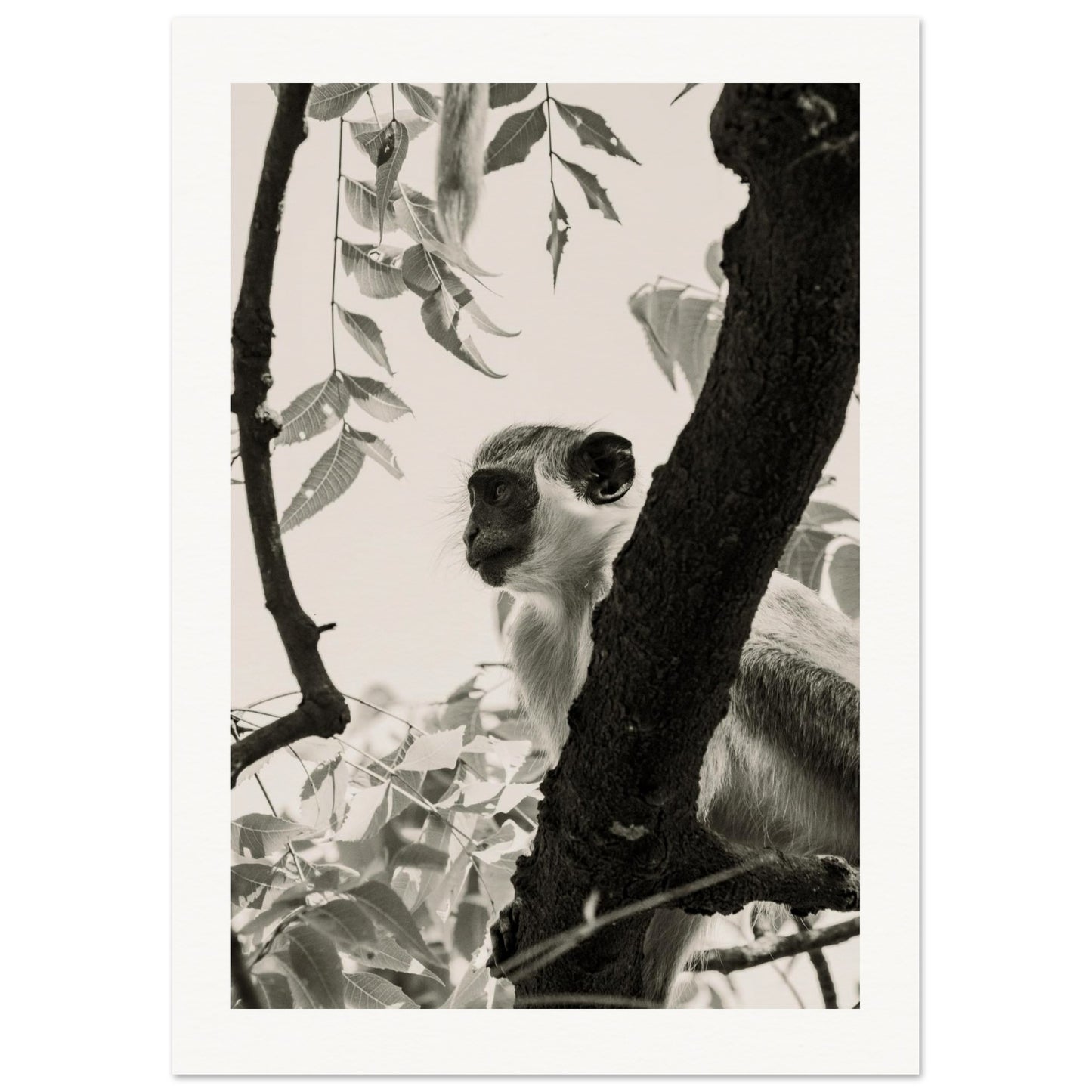 98250565-8b41-49b6-a8c7-dfe18da61522