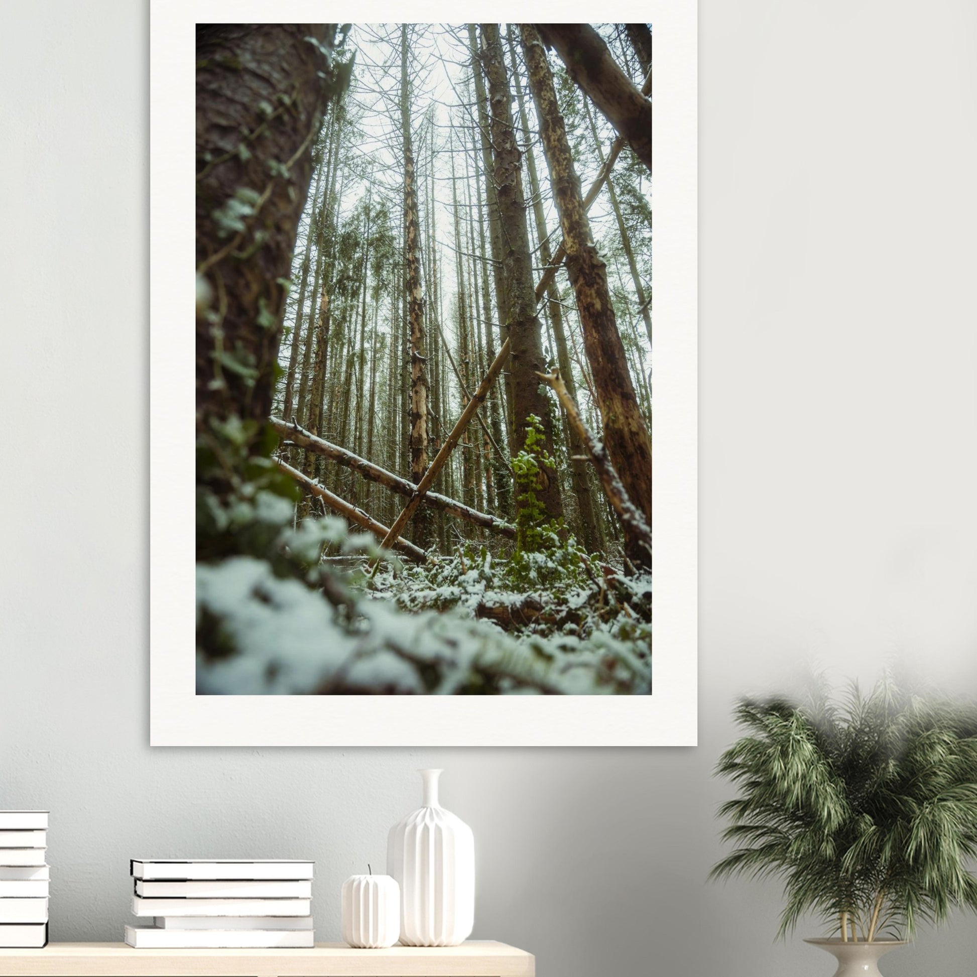 98bd371b-bfb7-407a-8417-76e4d274507e