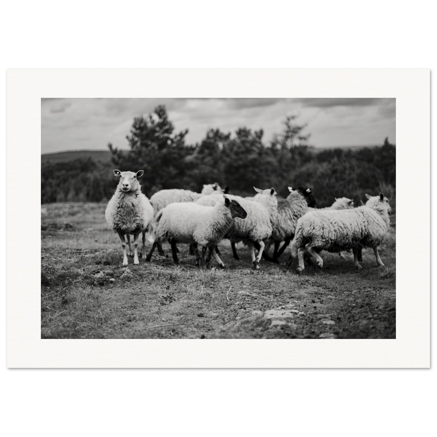 99162fd8-592c-4a80-bf5a-751db682b657