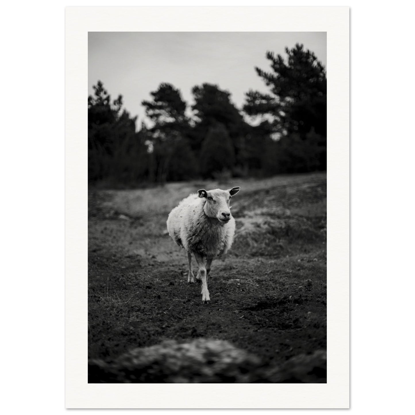 99863497-750d-4ac7-96a7-08b6c8af67e0