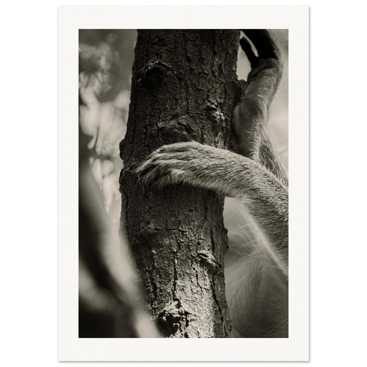 9a6b22e1-b5d7-4c4d-a5e5-1b70f16d7134