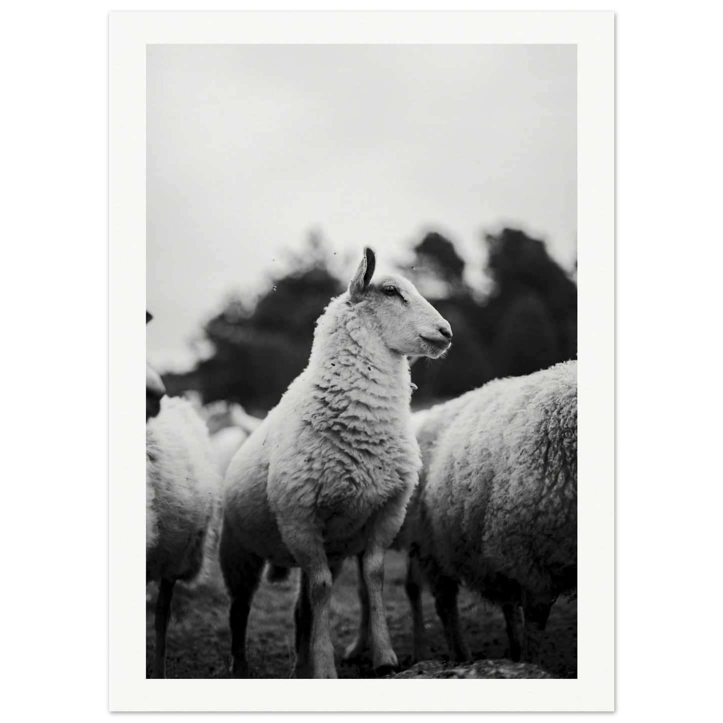 9c7505b2-eaaa-47df-af8c-a952fab66fba