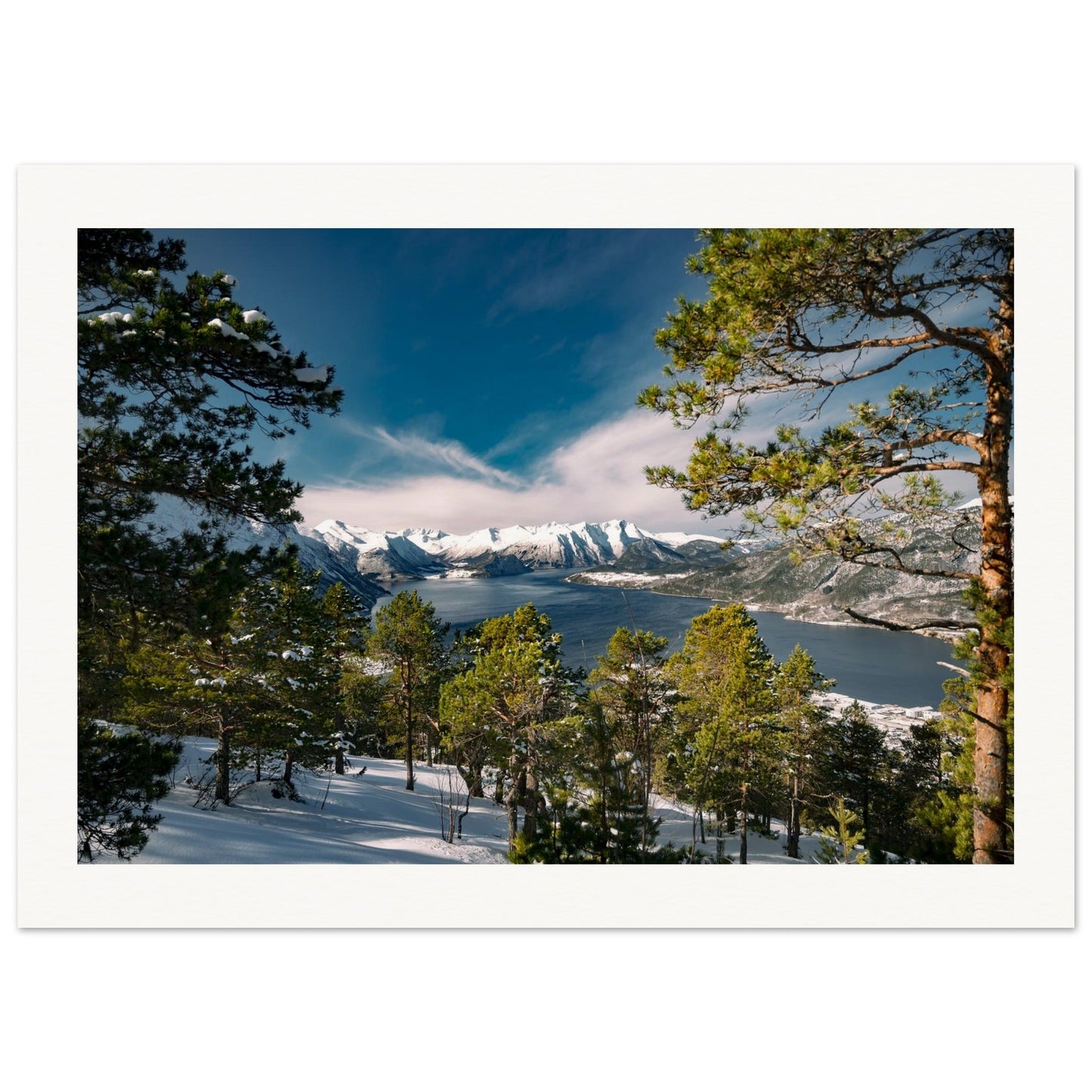 9cf44c3c-2161-43ea-a59f-9e8b872d65ae