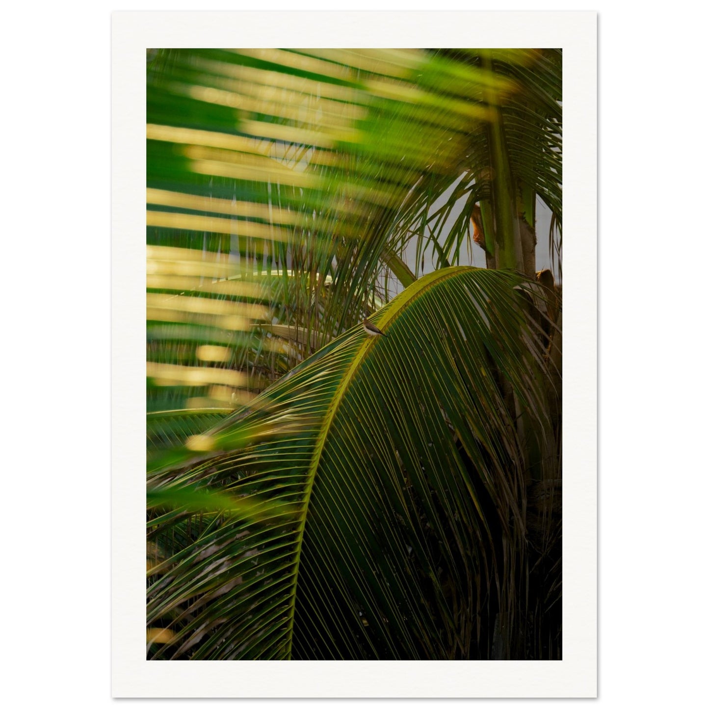 9d1e58da-bd3f-4a50-8725-d6bdf3960d5e