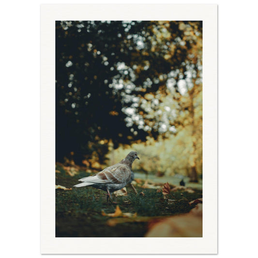 9d33daed-88c7-49e6-be8f-e2be1c792827