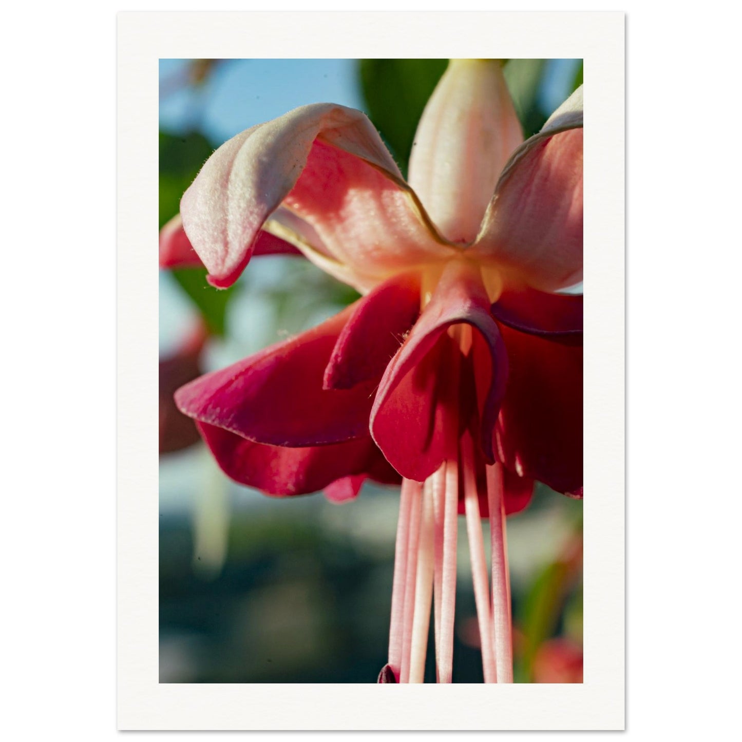 9d7dd0e6-dc98-43a5-9373-cd597c1049a0