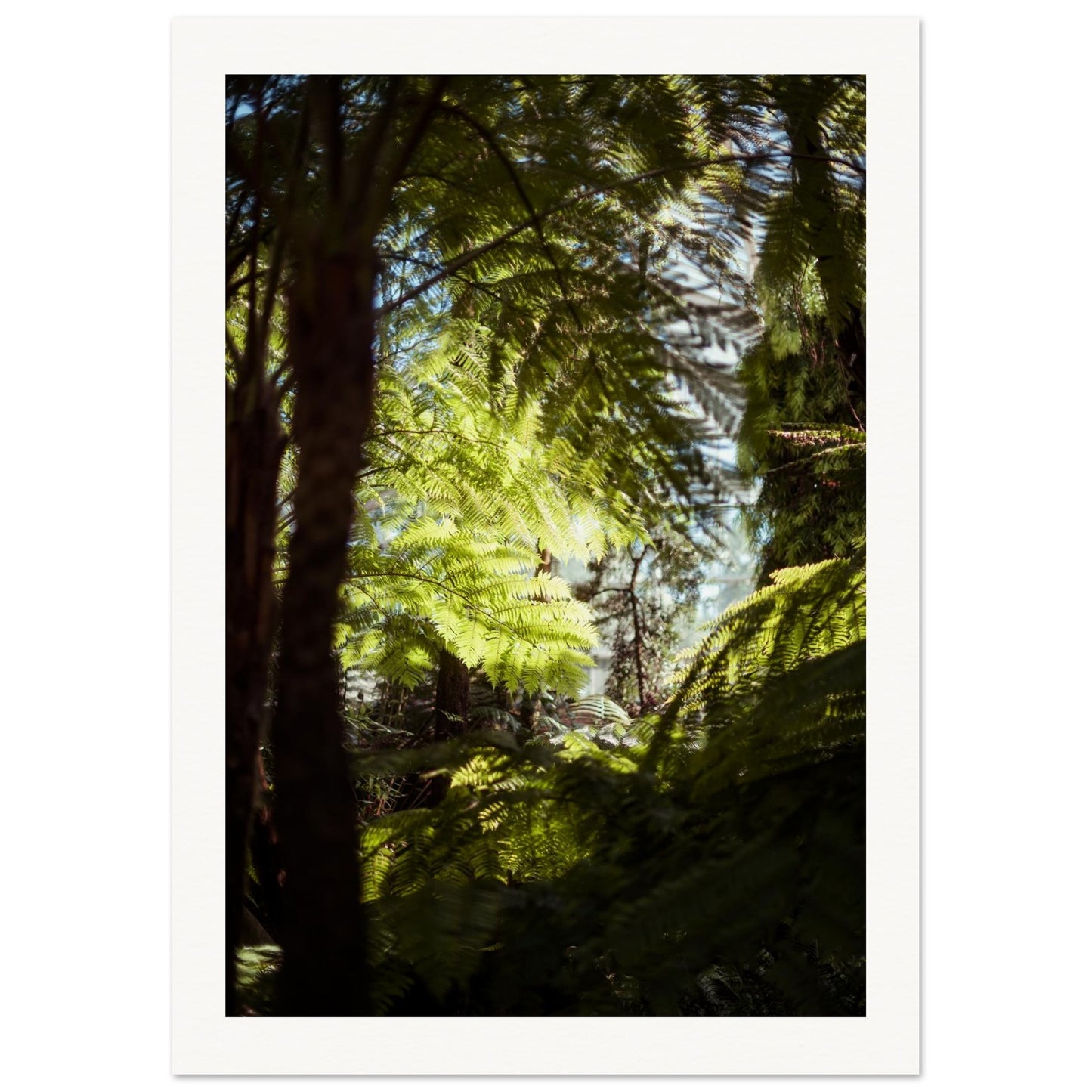 9f193f49-3e92-4f47-8b63-1f3613ff7298