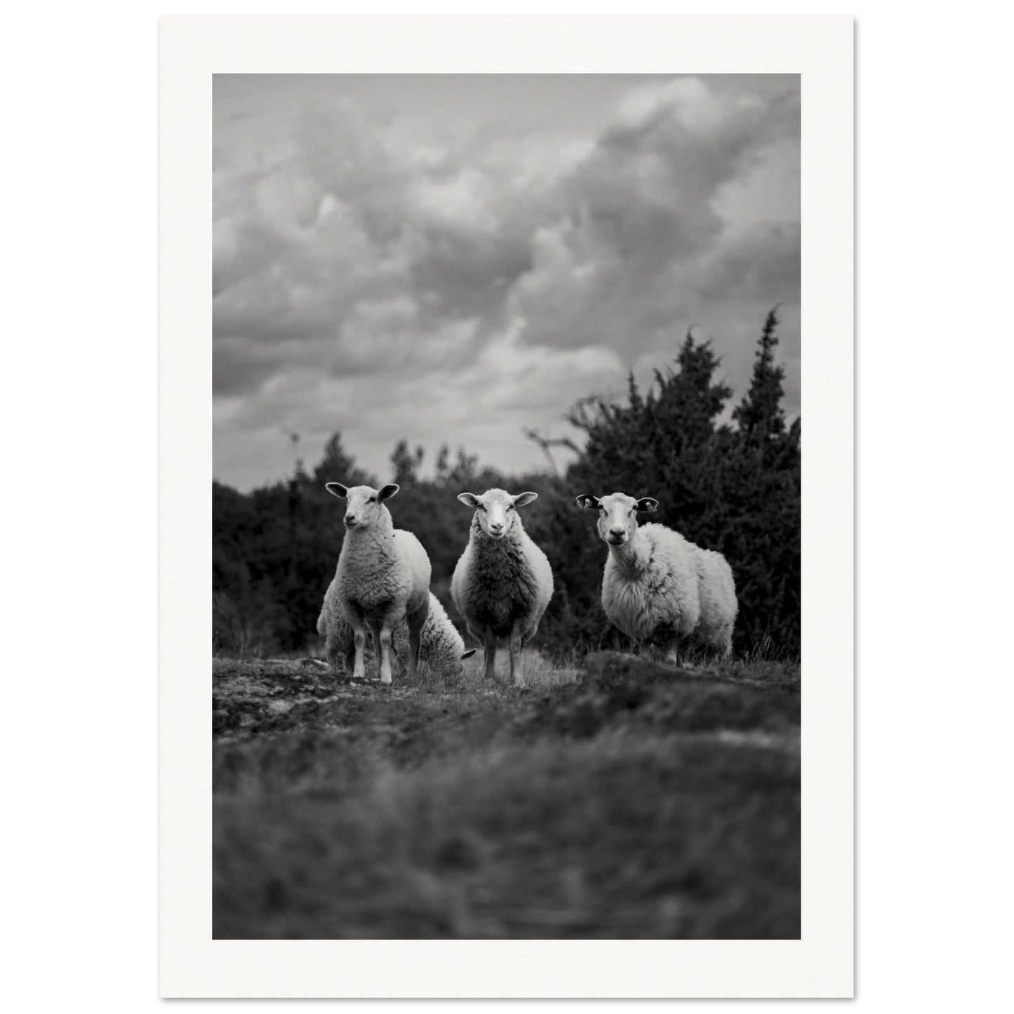 a283a919-69ea-41d3-ba1f-d3bb17116bb1