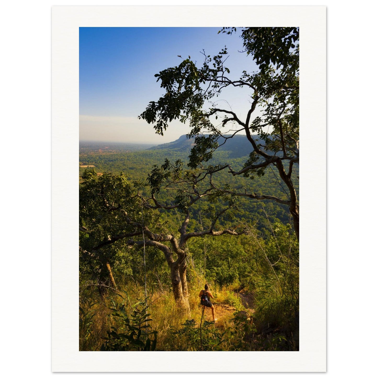 a415e569-1212-4311-bc60-7077fed513a8