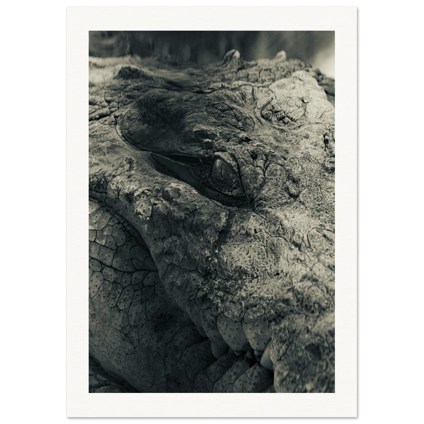 a4c3ce21-811e-45f4-a4b8-2ee470ab2bf9