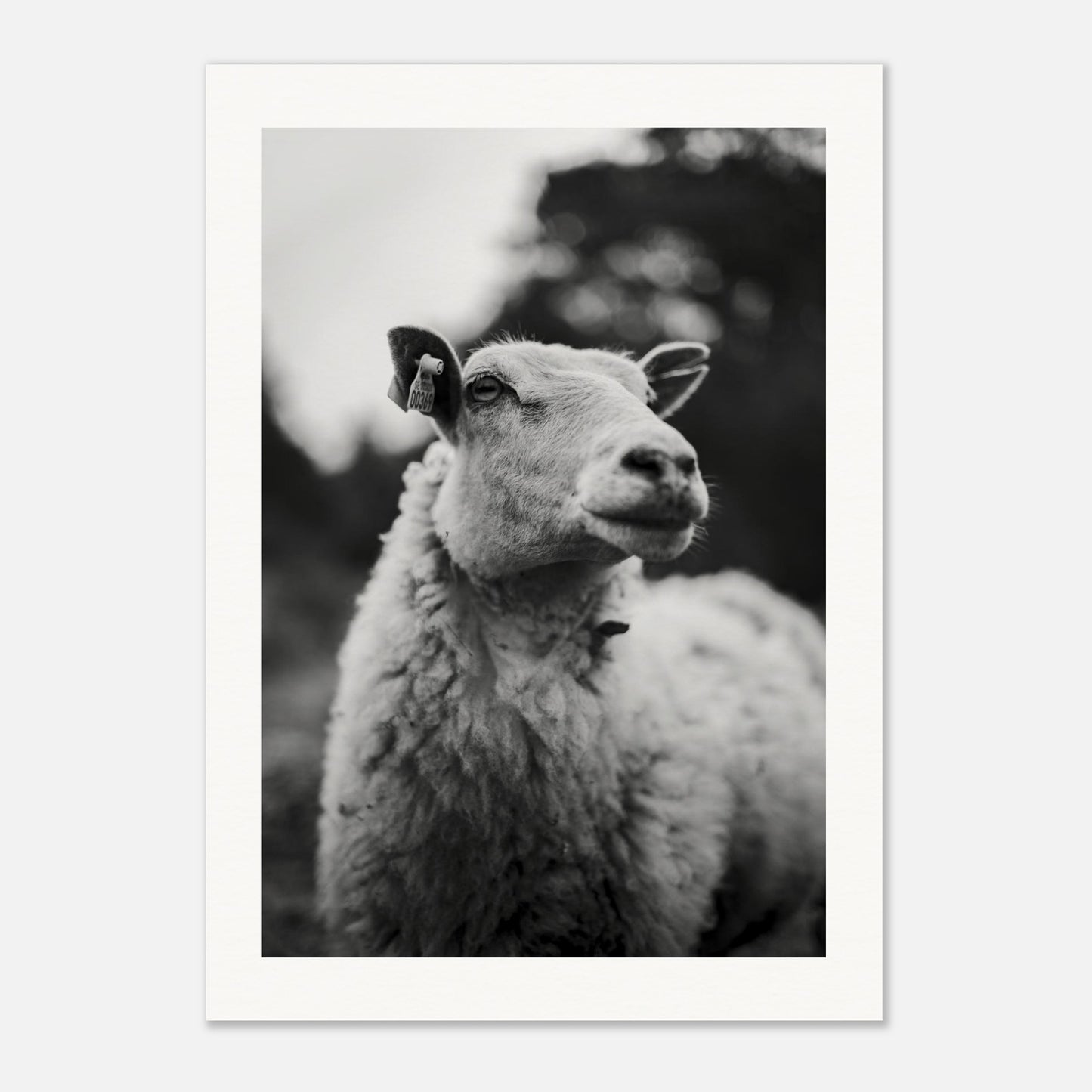 a4dd2f1c-49b5-4174-bd19-79095e4e2e04