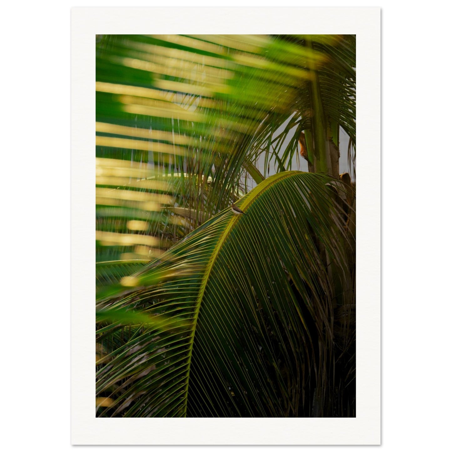 a53bcf5a-25b3-44ee-8ee0-d71c30de5483