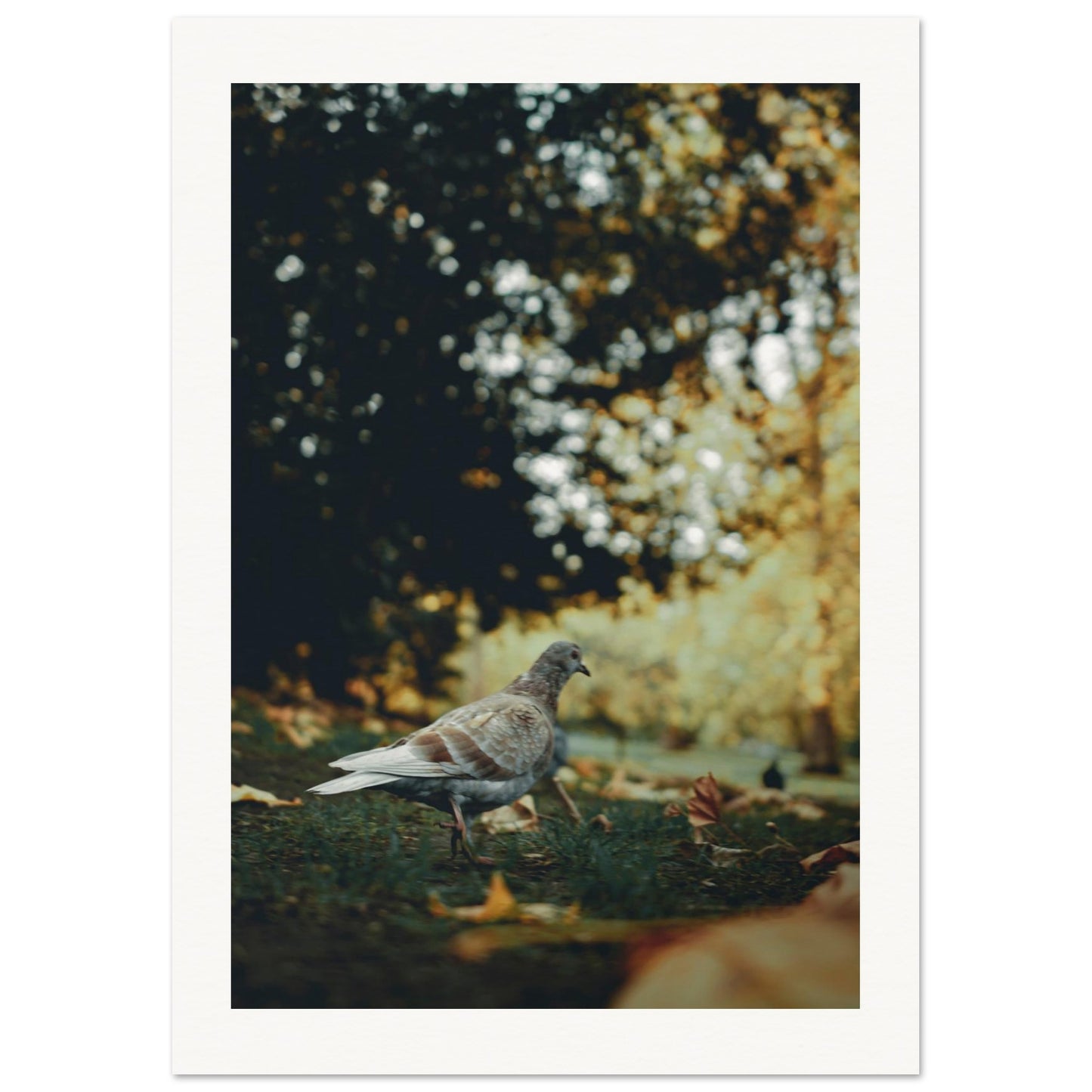 a60fcd67-97e5-461b-b640-36f6cadf5d8f