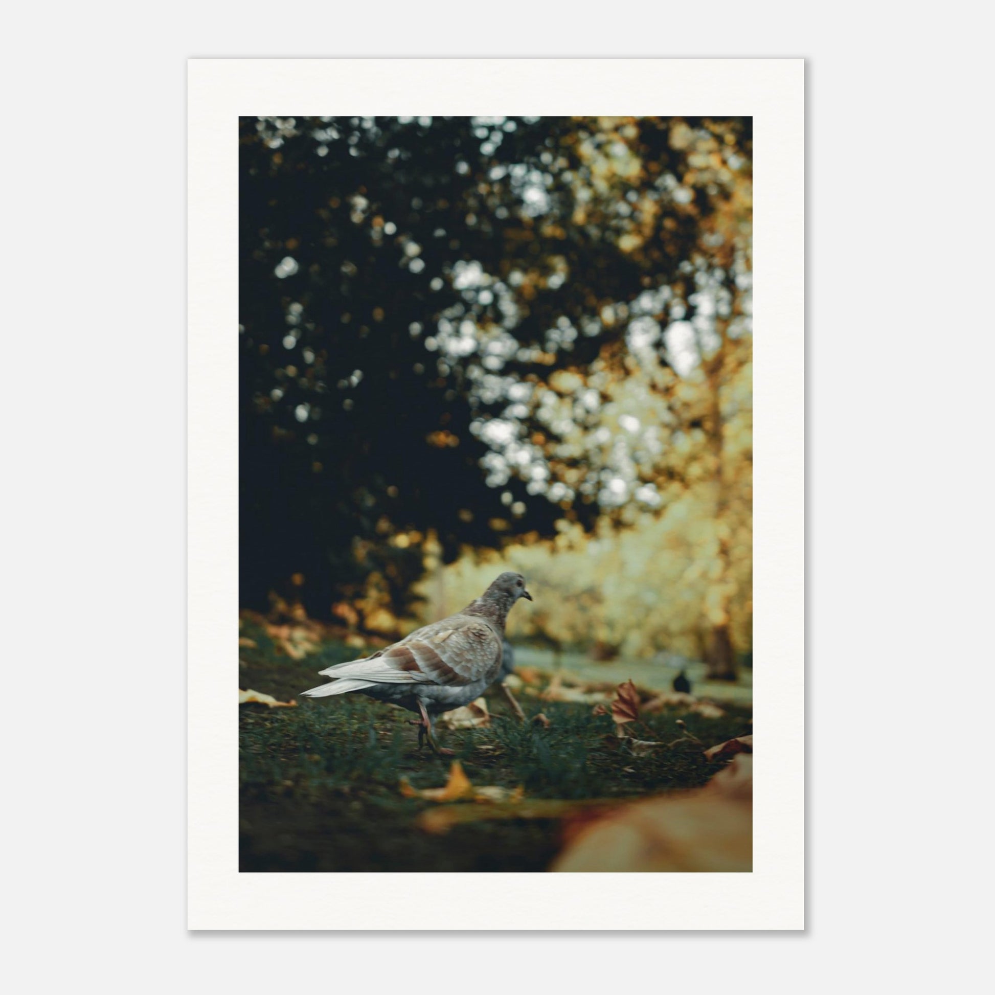 a6aa6c69-0131-4976-b111-3775e3caf1f5