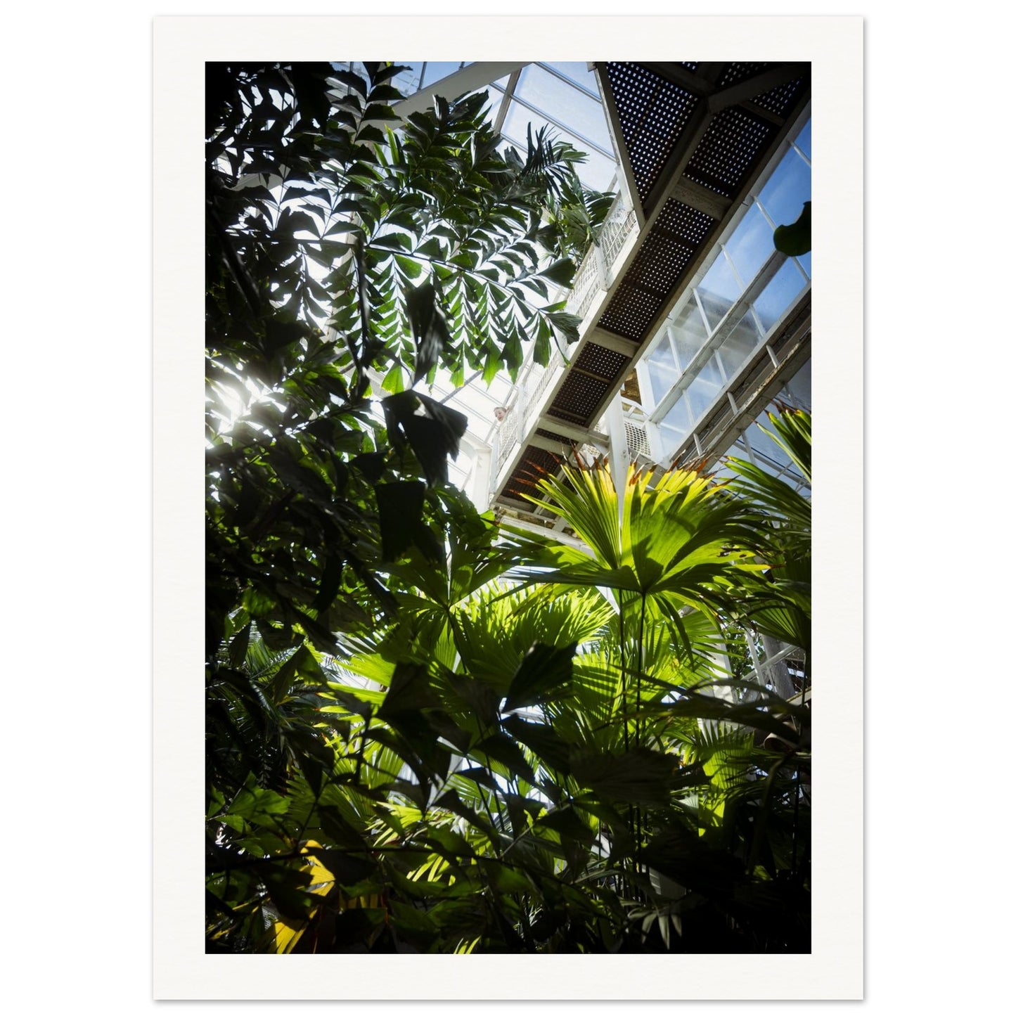 aa09e732-bd15-40dd-975b-70865252ce44