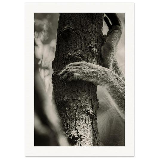 ab2330c7-be07-4e3b-82eb-a6c9a807f588