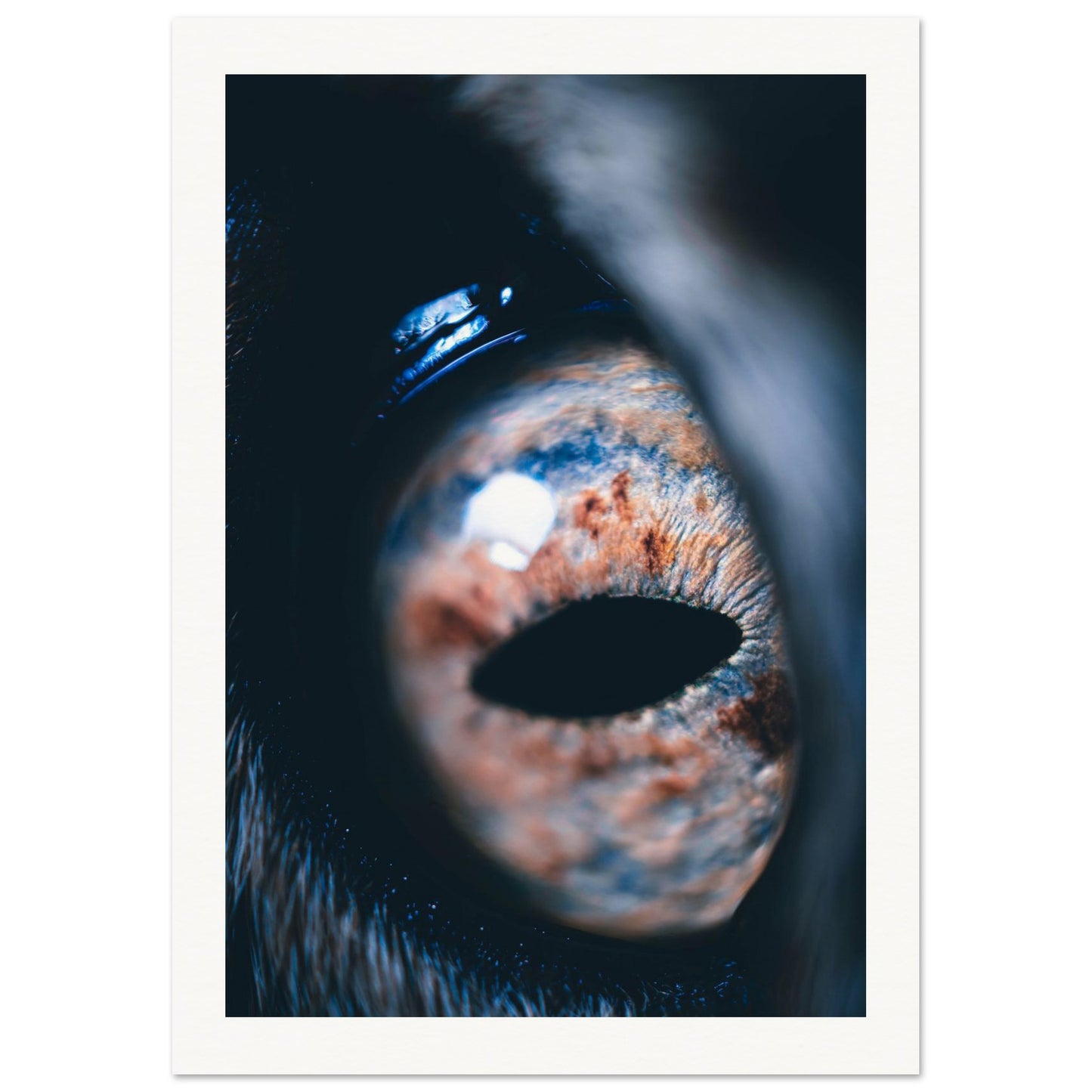 adb0b6e6-9ce7-45ca-b34a-a3772c6dec9c