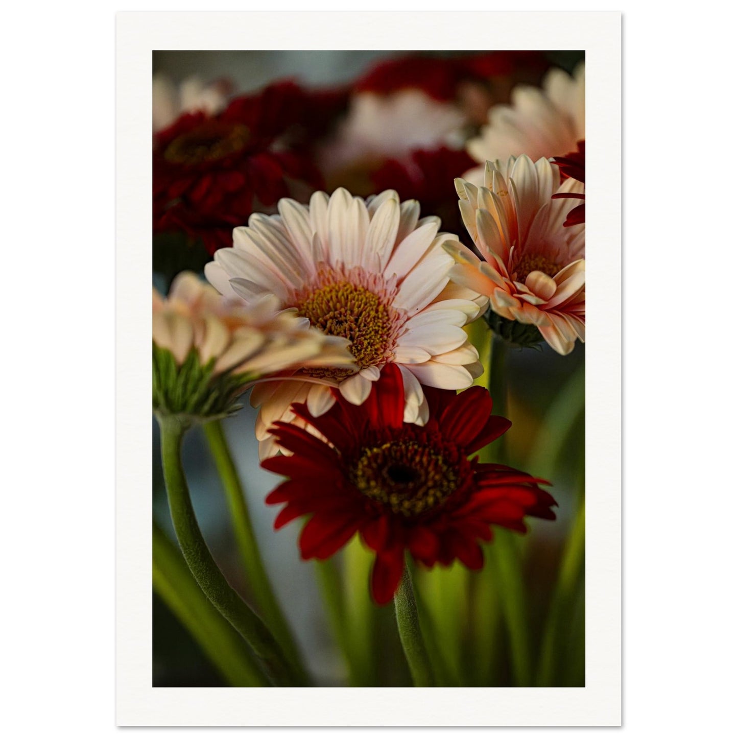 af776e1c-04f1-4585-8eb8-31dc64529f33