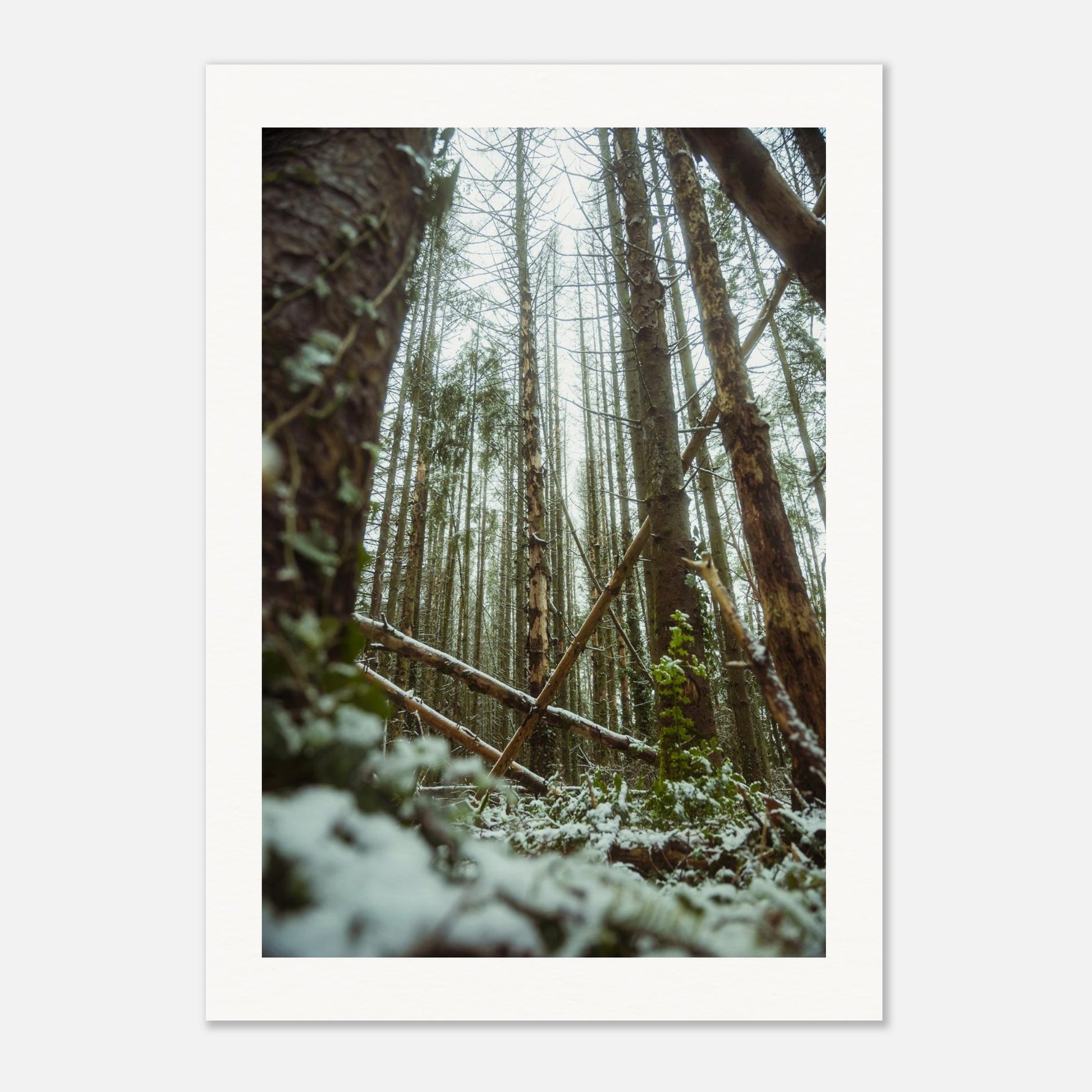 b003b1c9-dfe7-4cda-8421-314e89877412