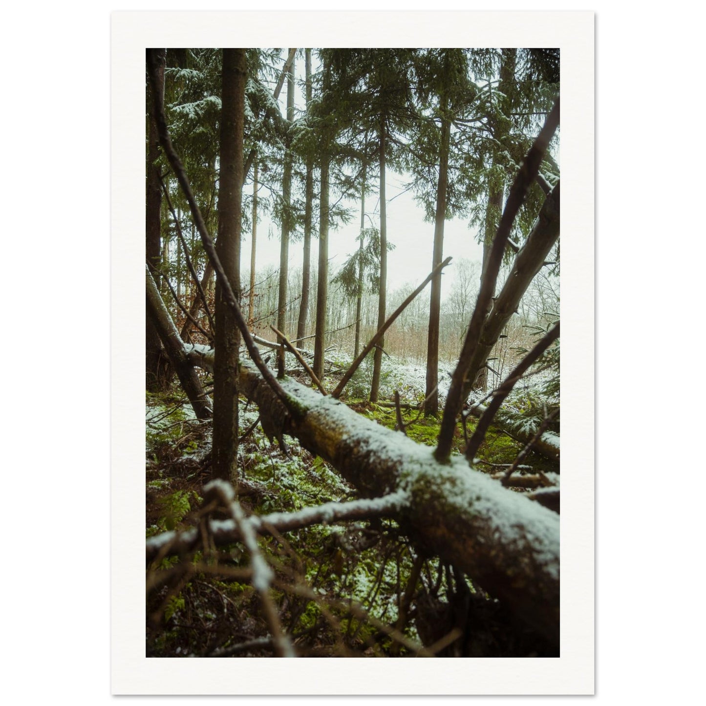 b0a5b3da-ece8-4cf4-a7cd-13721e4b62d5