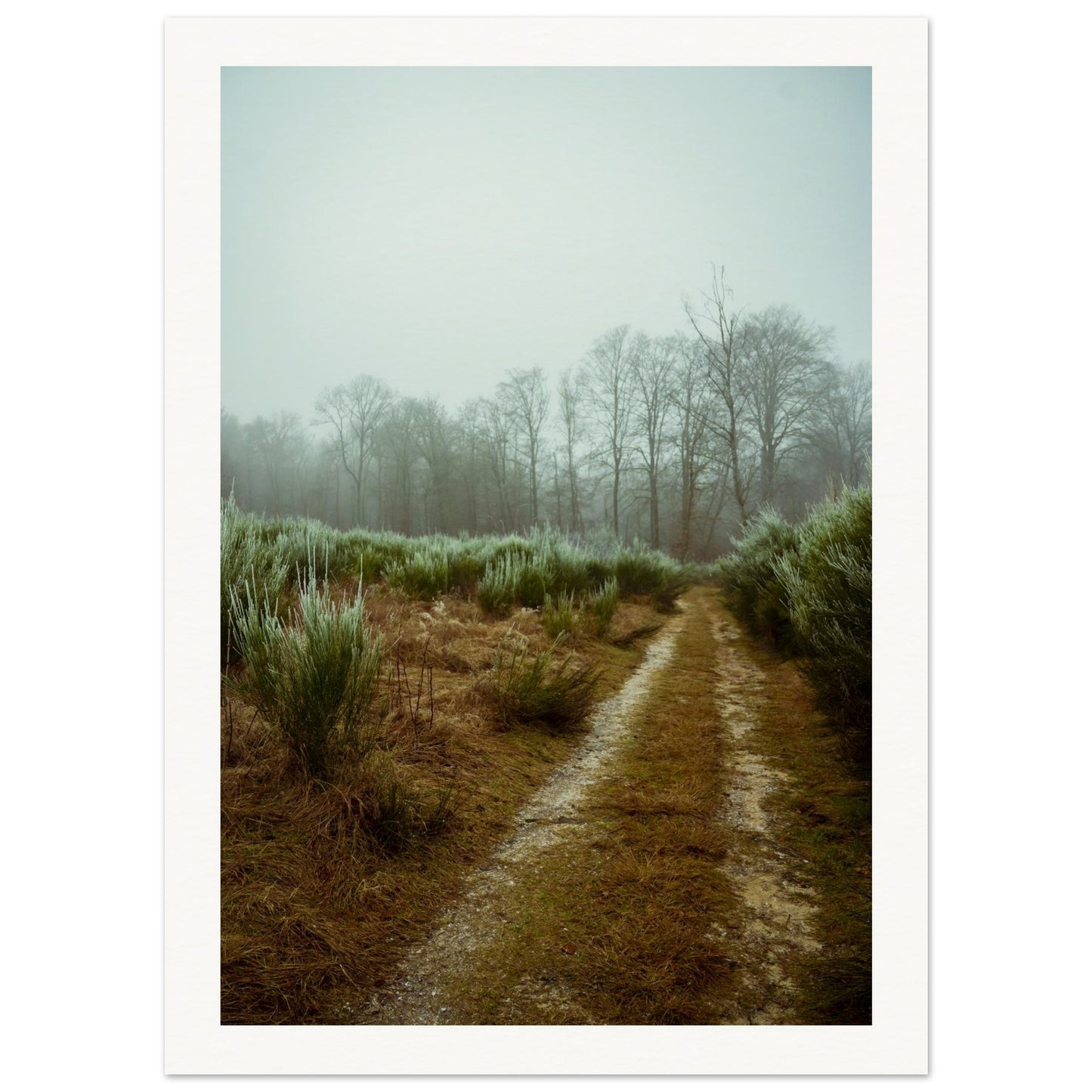 b2b40f91-6fc5-4de0-88db-d77b8ef10c9e