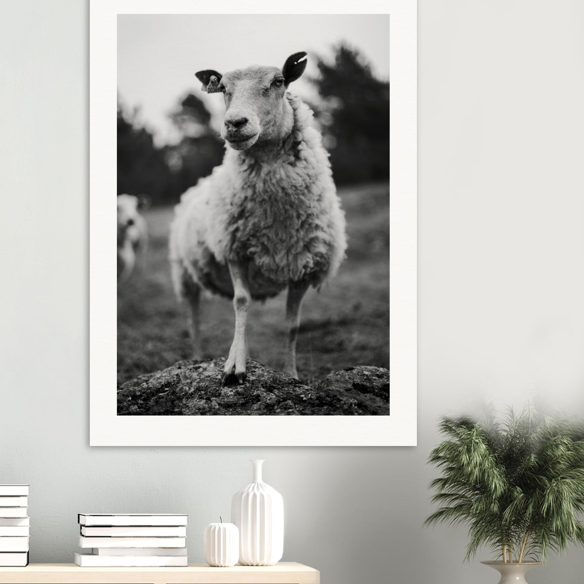 b2e83cd3-793d-483d-a0ad-1377df3acc93