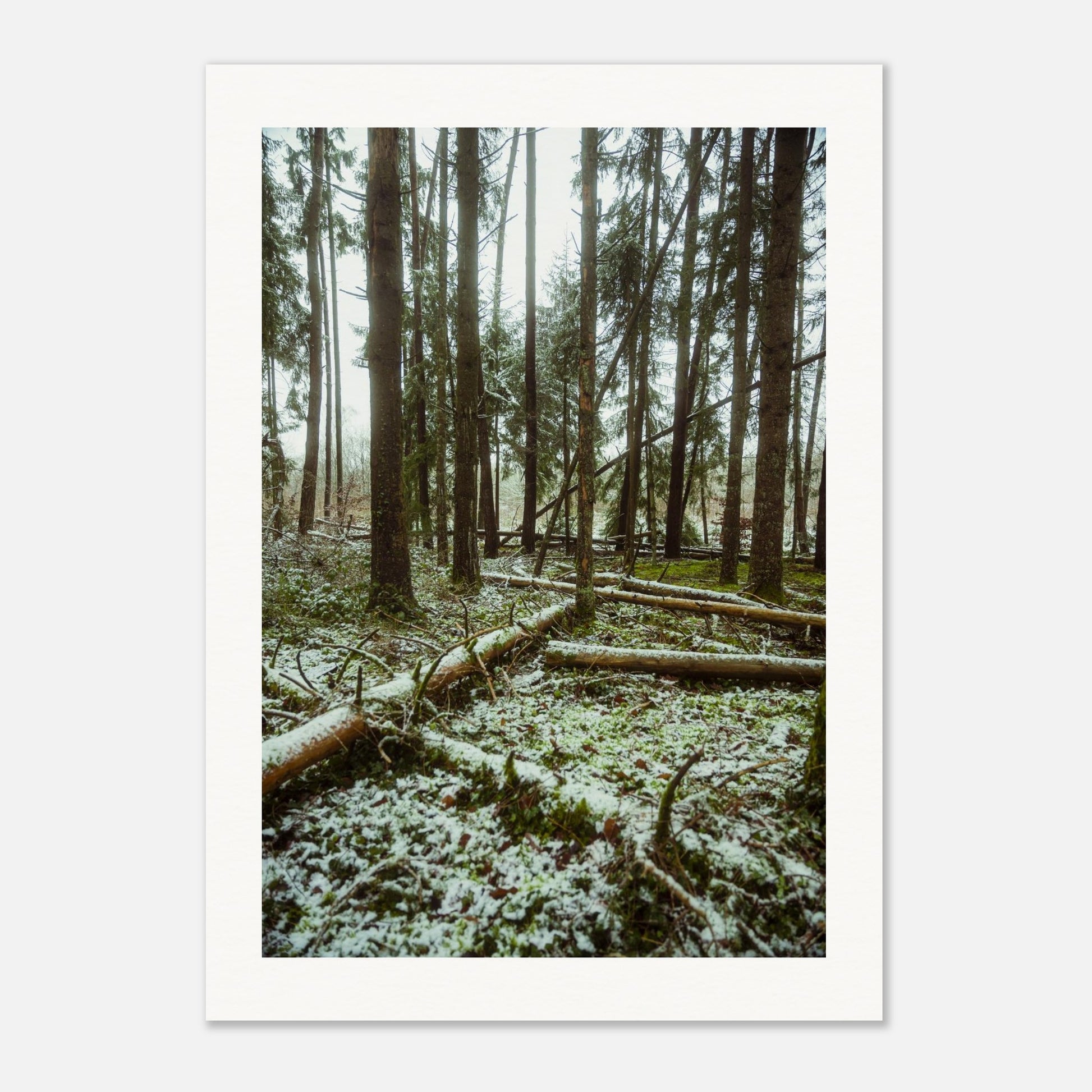 b3487f63-4380-421a-9e2a-07d766e427dd