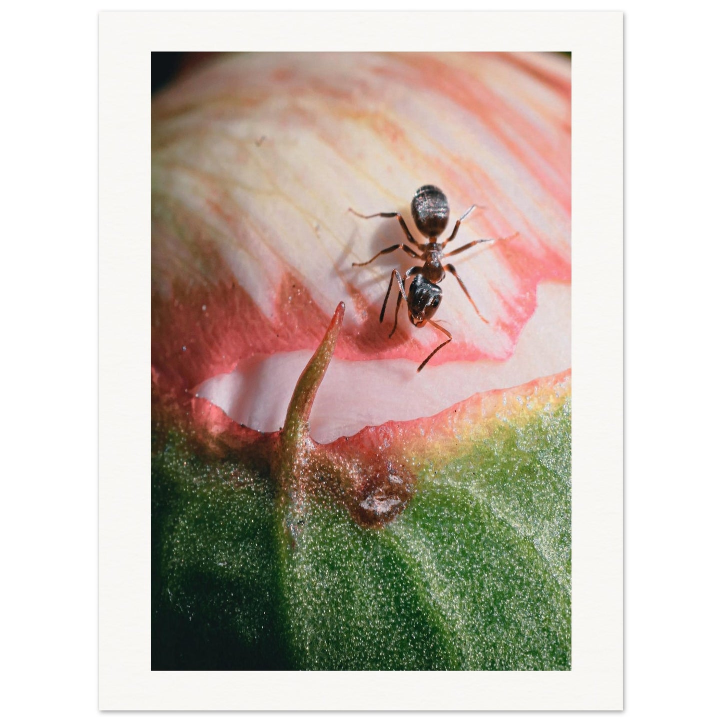 b39c073e-6ef3-46ab-ad82-59881a38dbe8