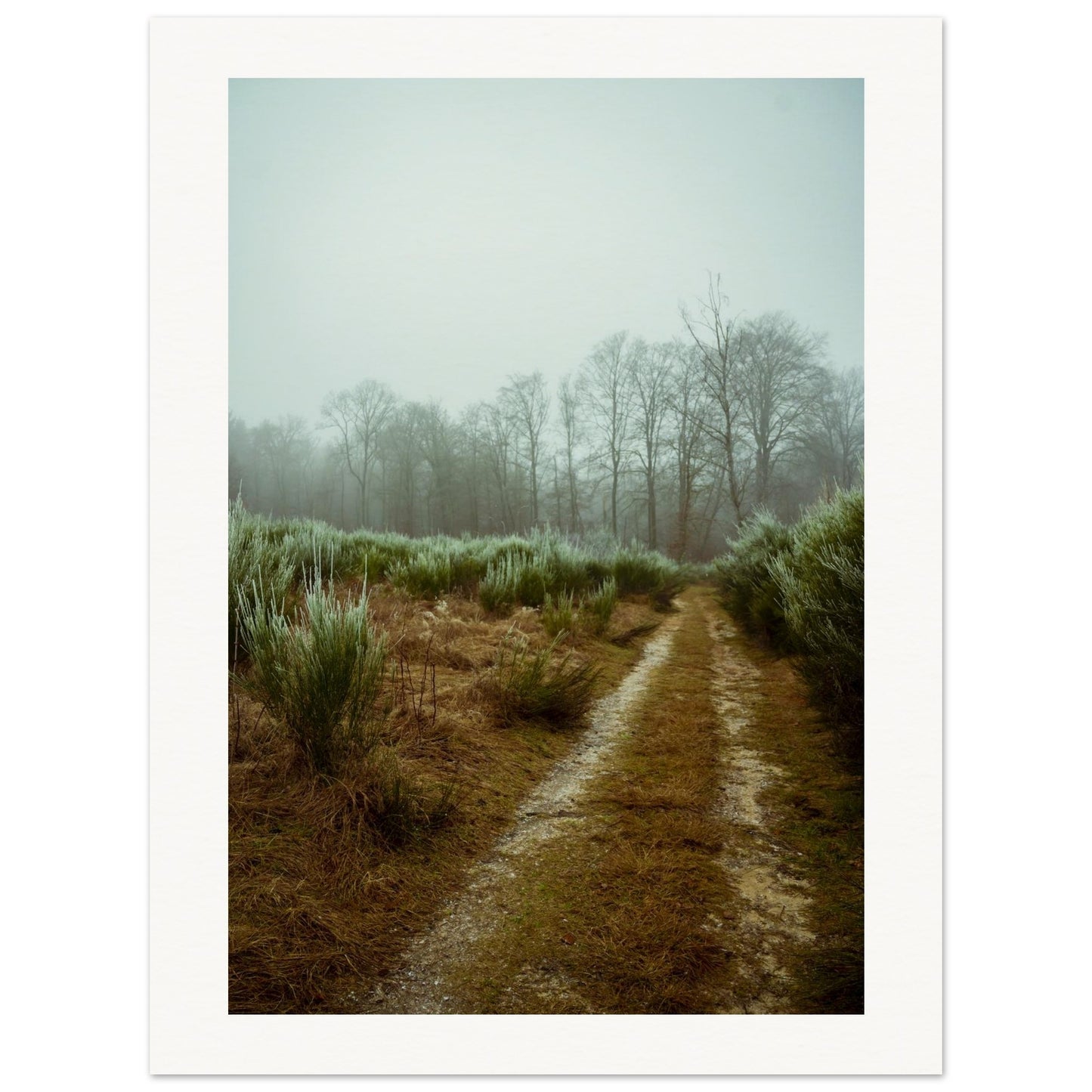 b48fe862-7b93-4ac3-a099-6a7ac0c719fc